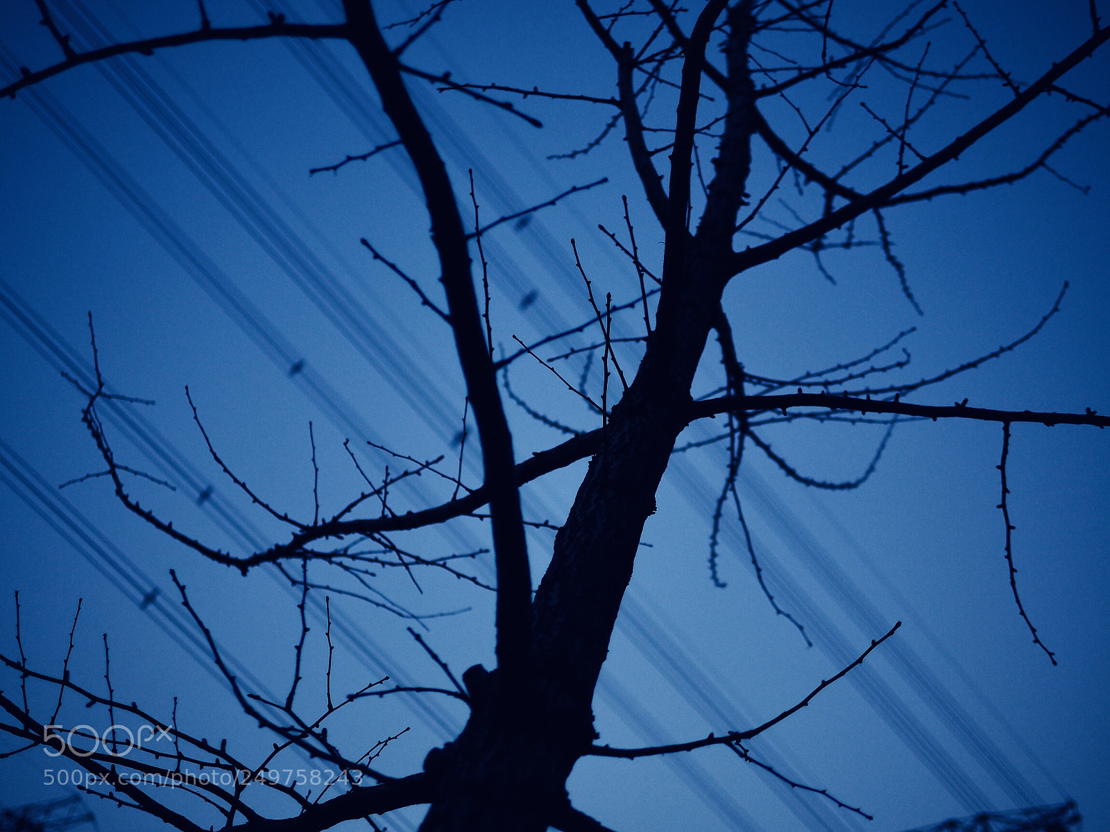 Olympus OM-D E-M10 II sample photo. 冬天 photography