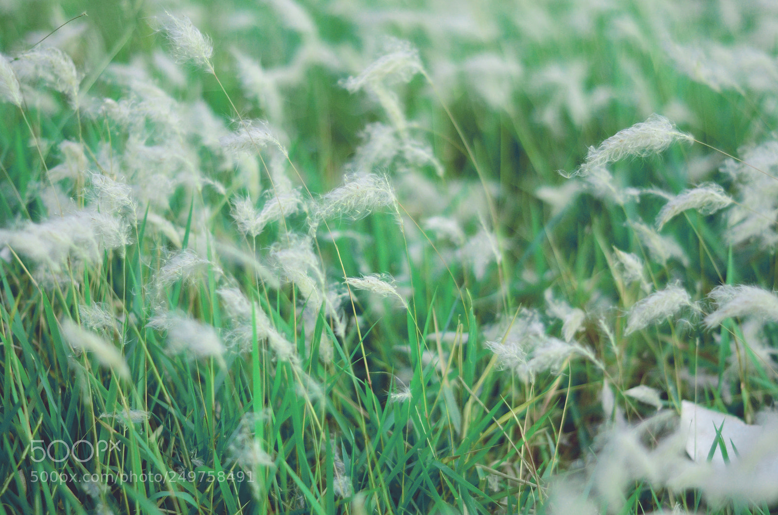 Nikon D7000 sample photo. Beyond the ephemeral eye photography