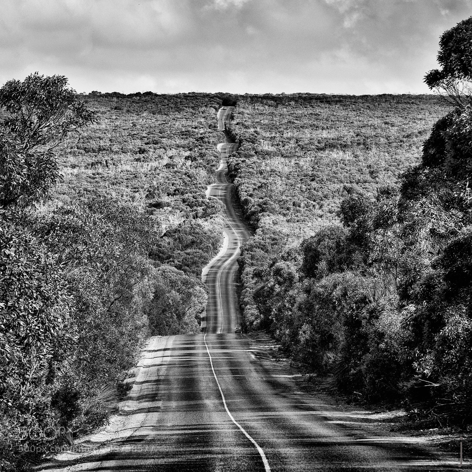 Nikon D810 sample photo. Australie nb photography
