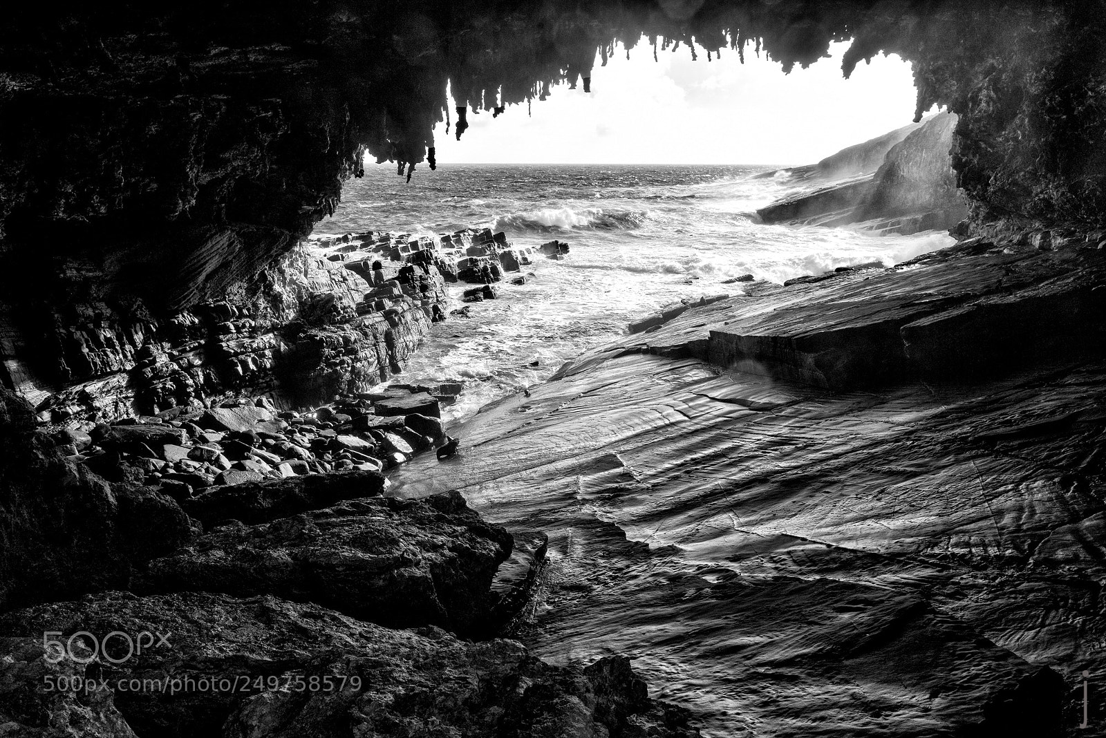 Nikon D810 sample photo. Australie nb photography