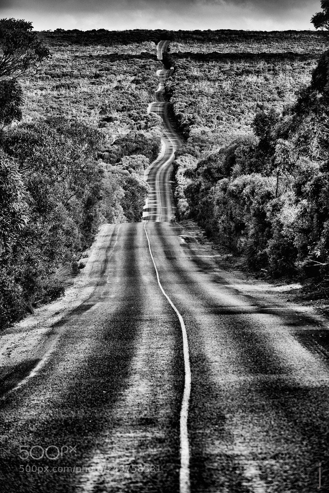 Nikon D810 sample photo. Australie nb photography