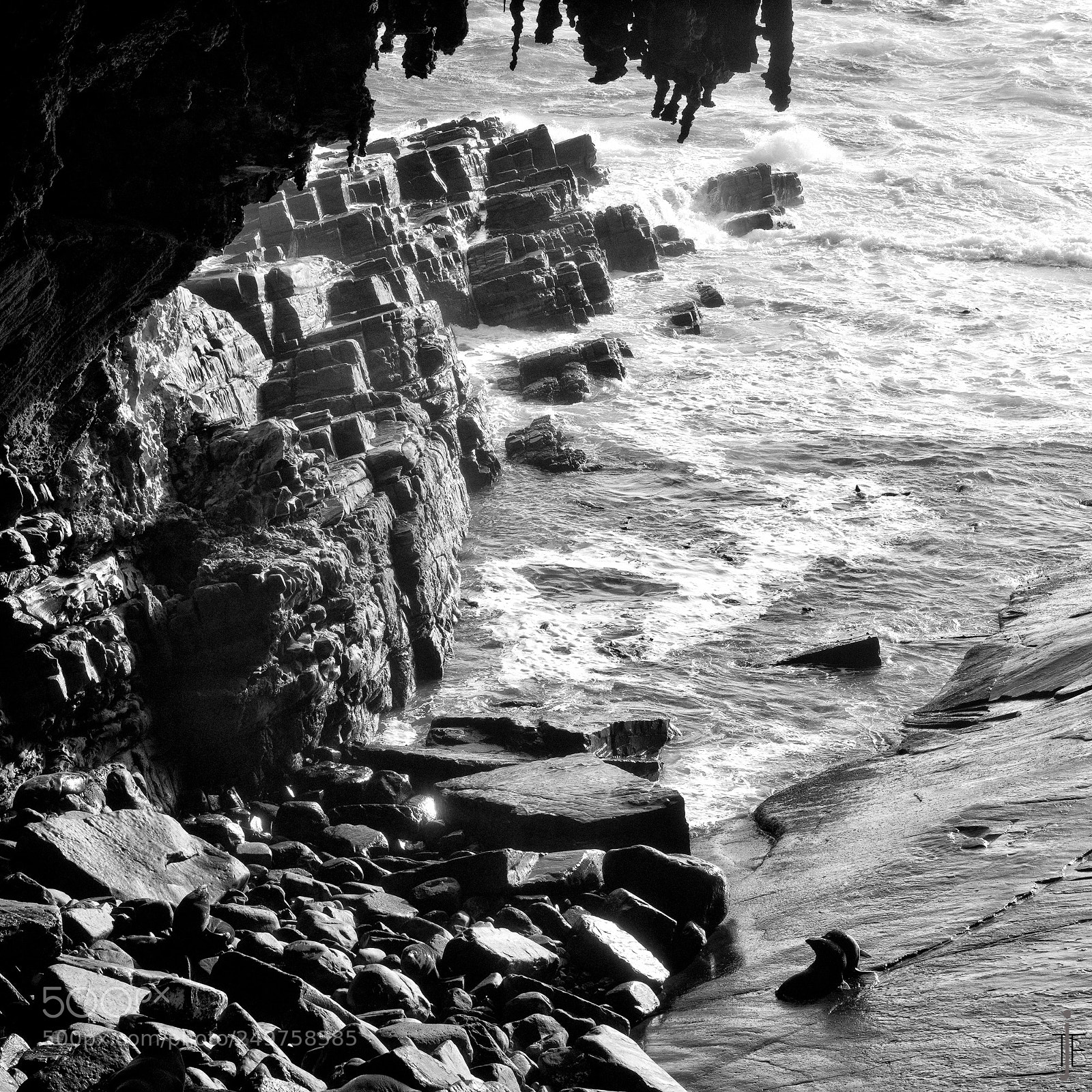 Nikon D810 sample photo. Australie nb photography