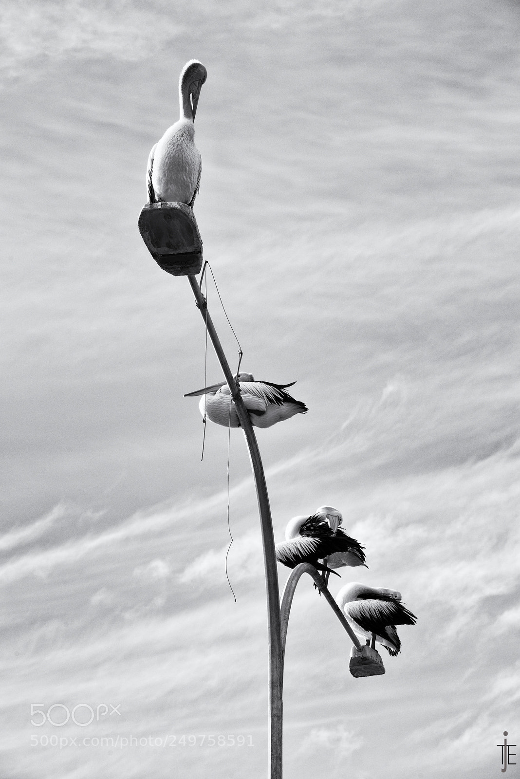 Nikon D810 sample photo. Australie nb photography