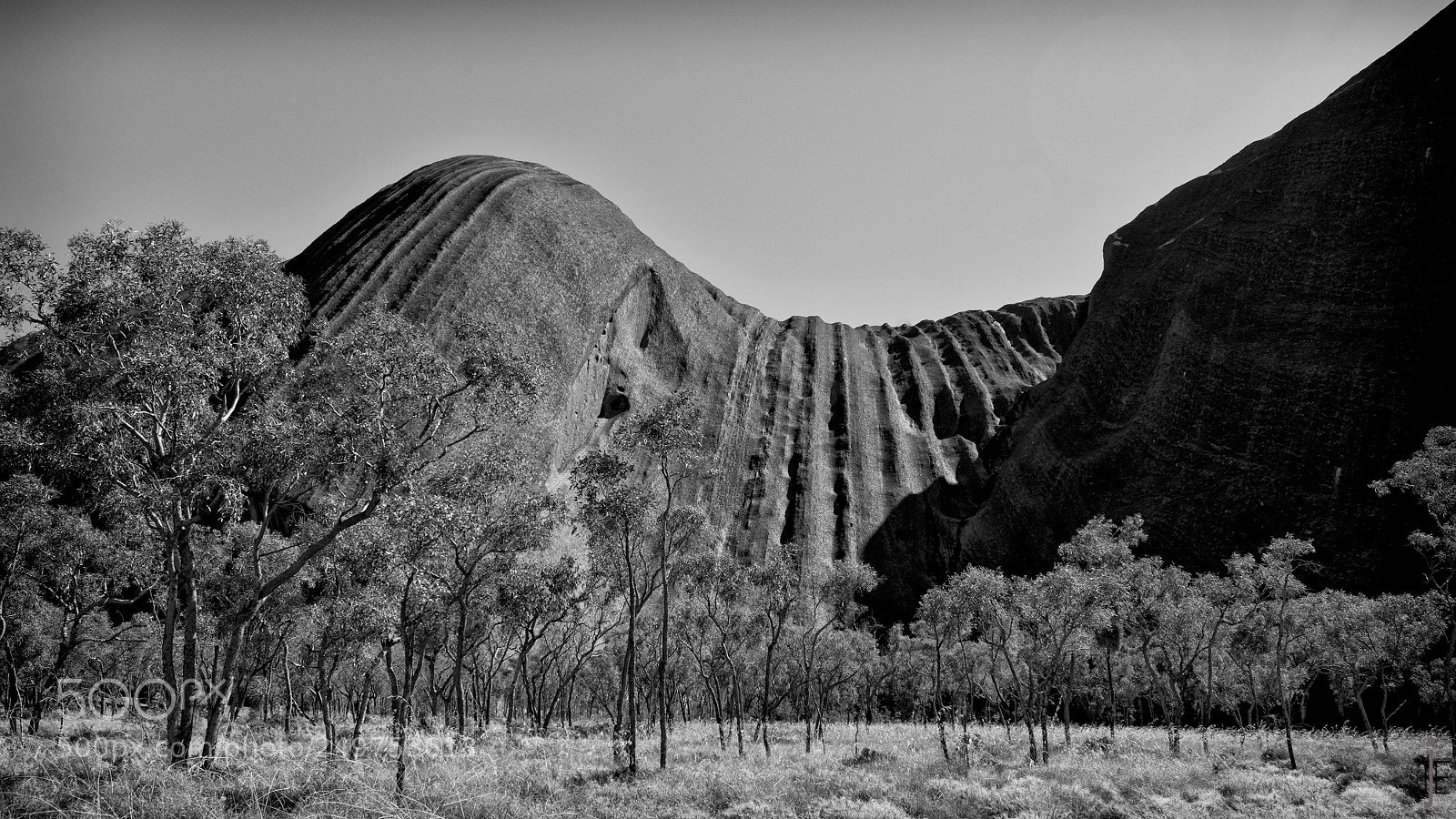 Nikon D810 sample photo. Australie nb photography