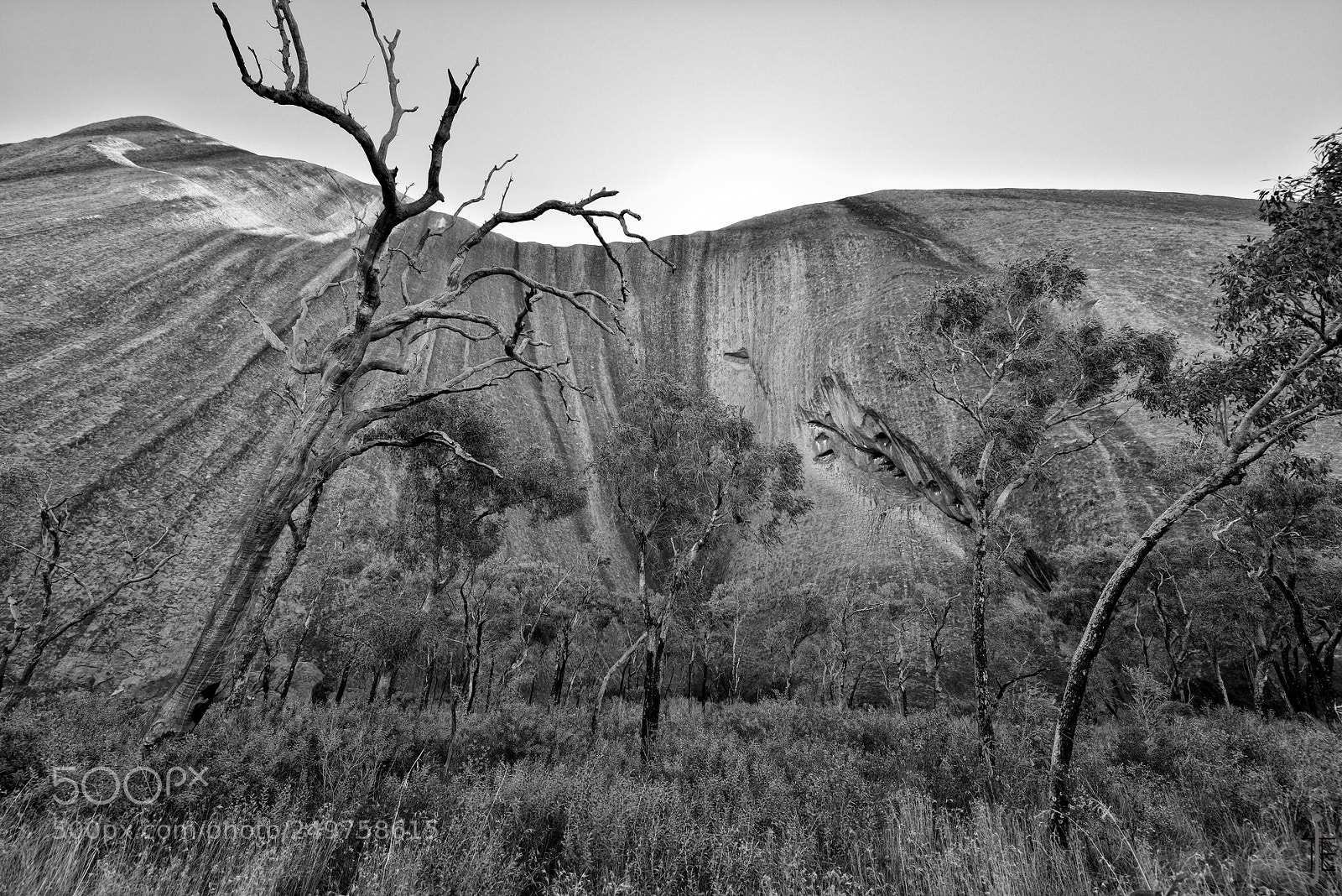 Nikon D810 sample photo. Australie nb photography