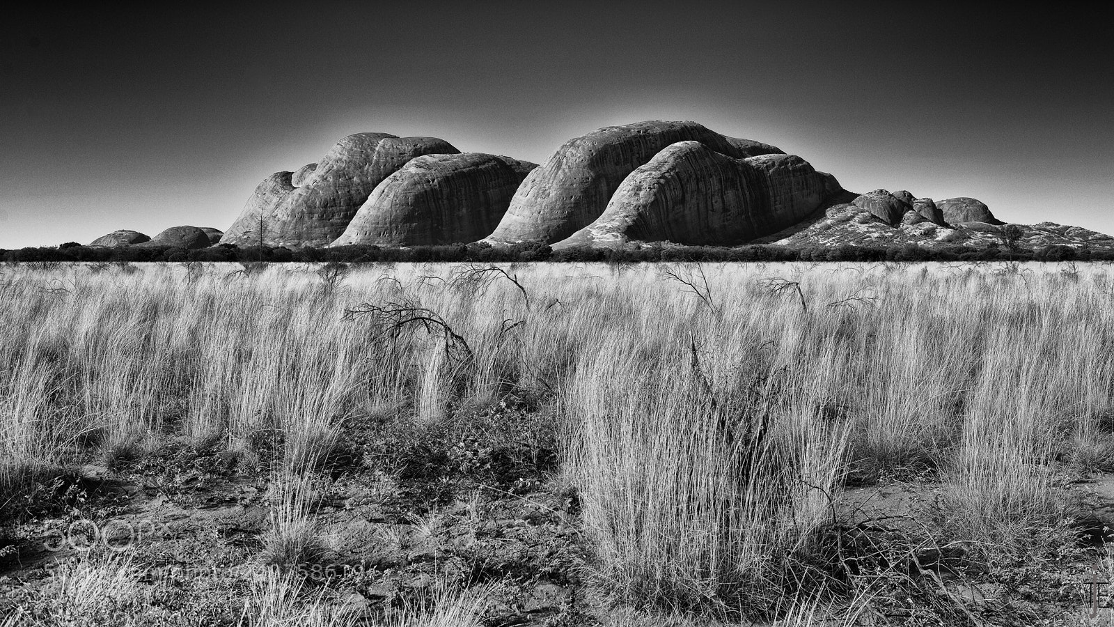 Nikon D810 sample photo. Australie nb photography