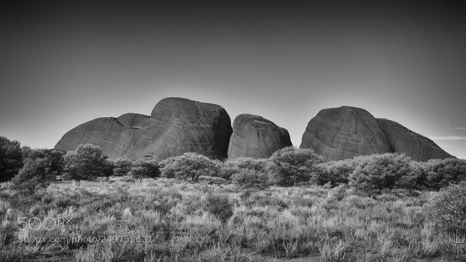 Nikon D810 sample photo. Australie nb photography
