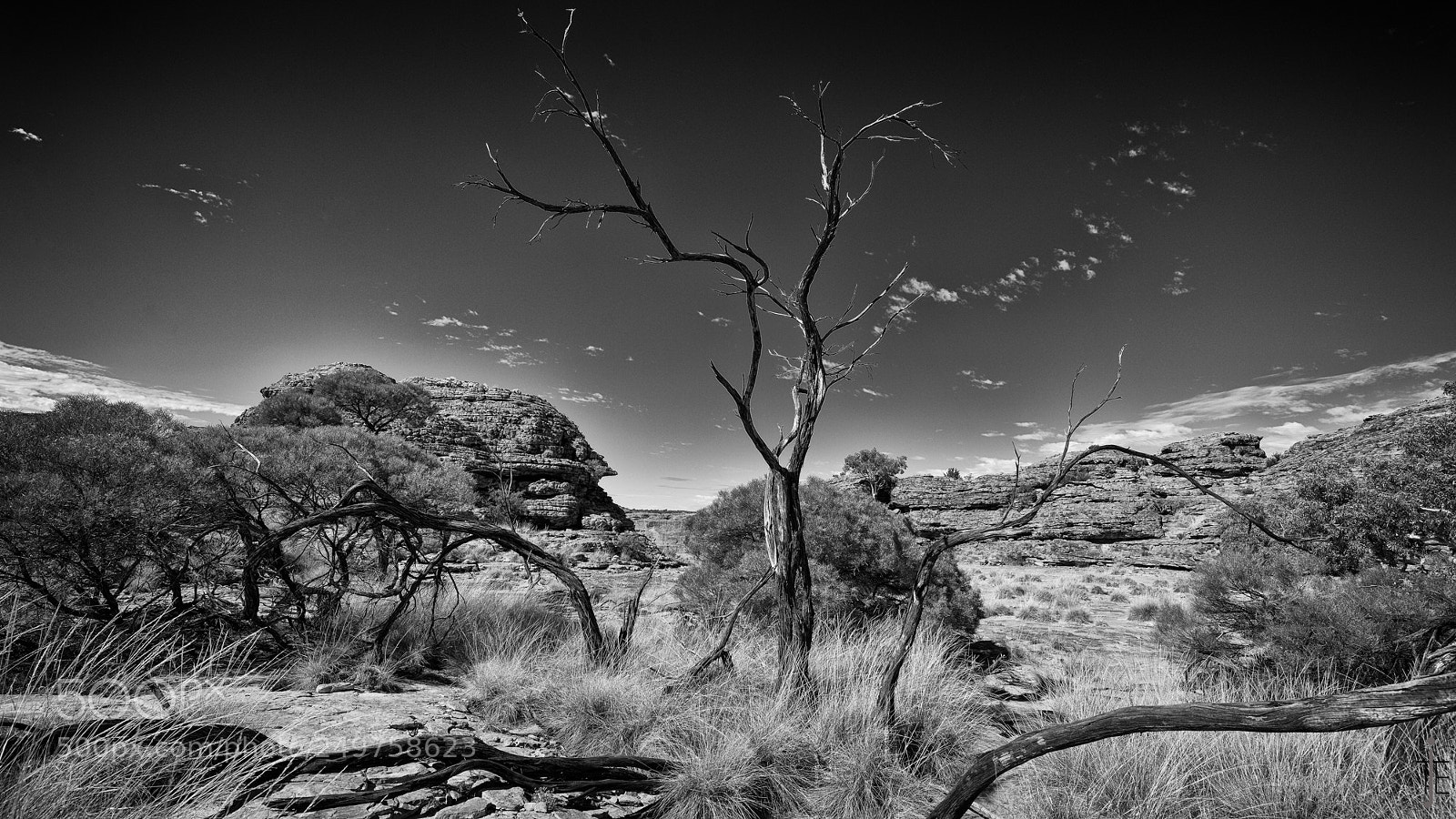 Nikon D810 sample photo. Australie nb photography