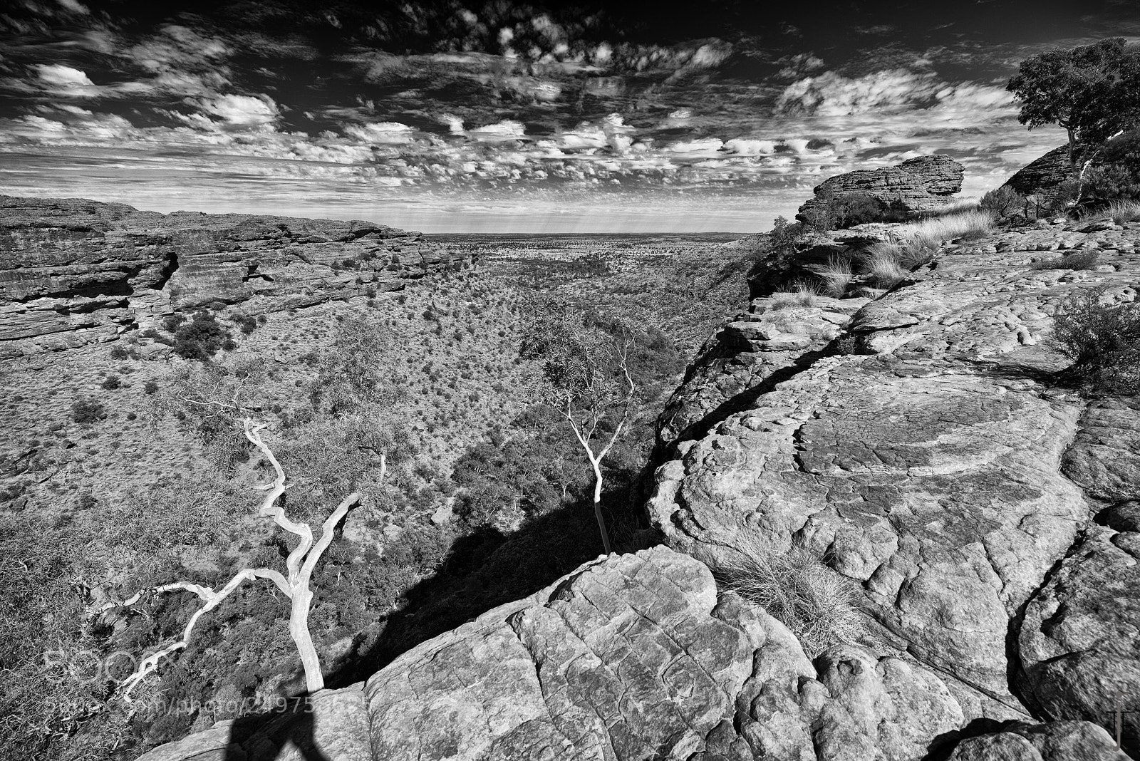 Nikon D810 sample photo. Australie nb photography