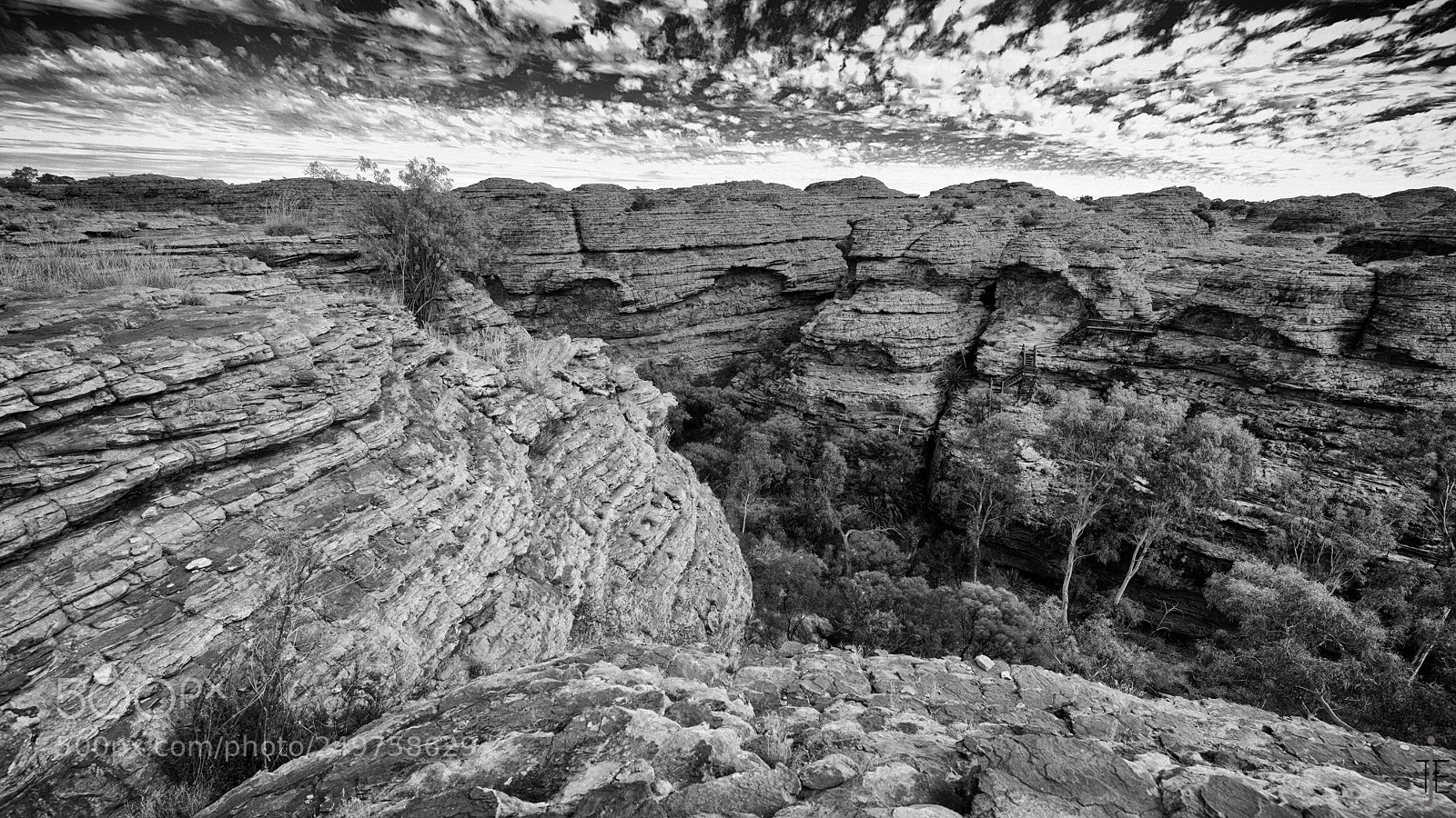 Nikon D810 sample photo. Australie nb photography