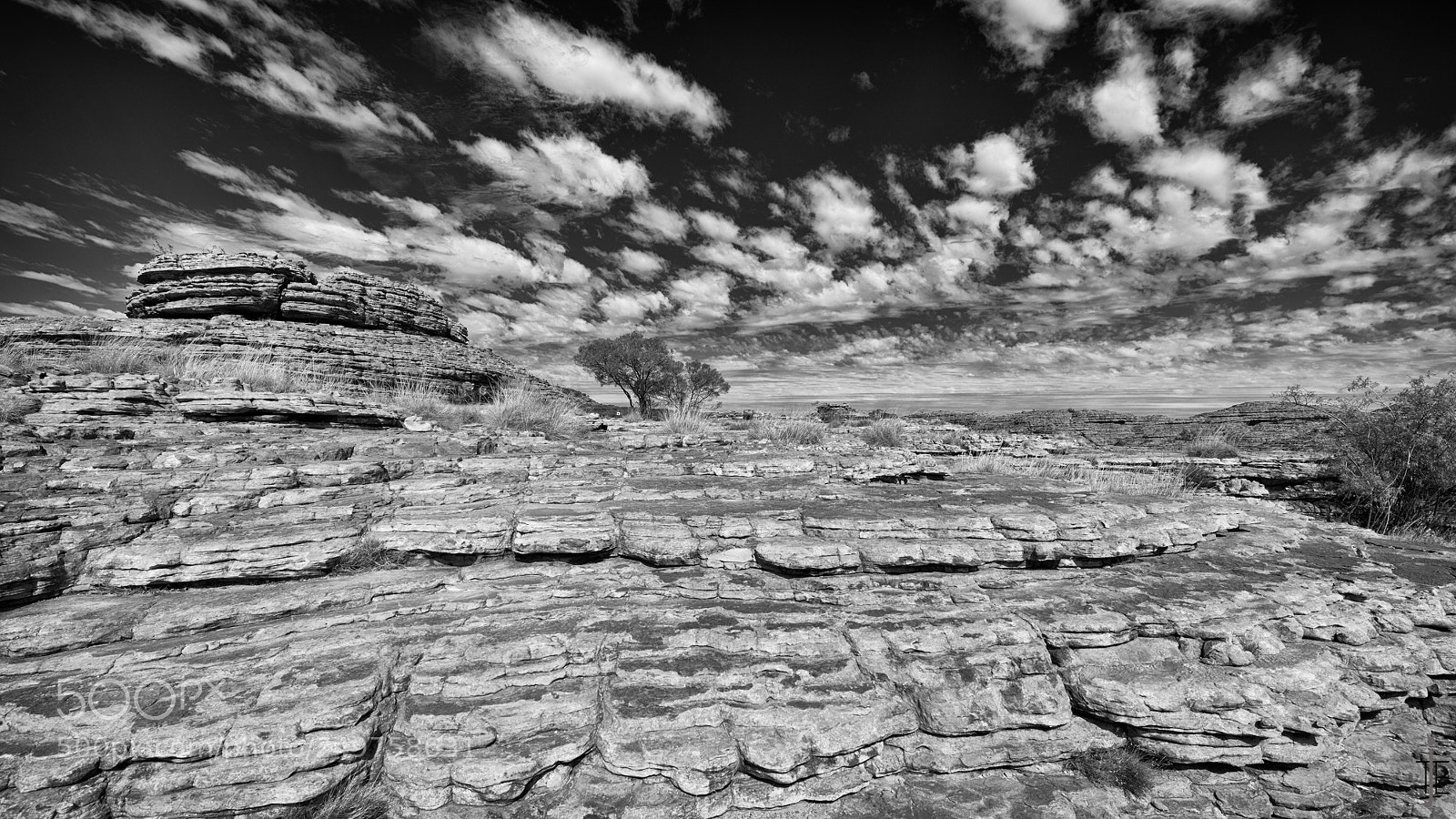 Nikon D810 sample photo. Australie nb photography