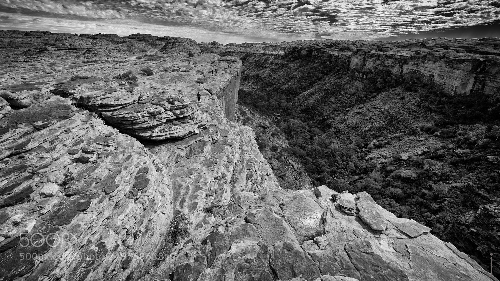 Nikon D810 sample photo. Australie nb photography