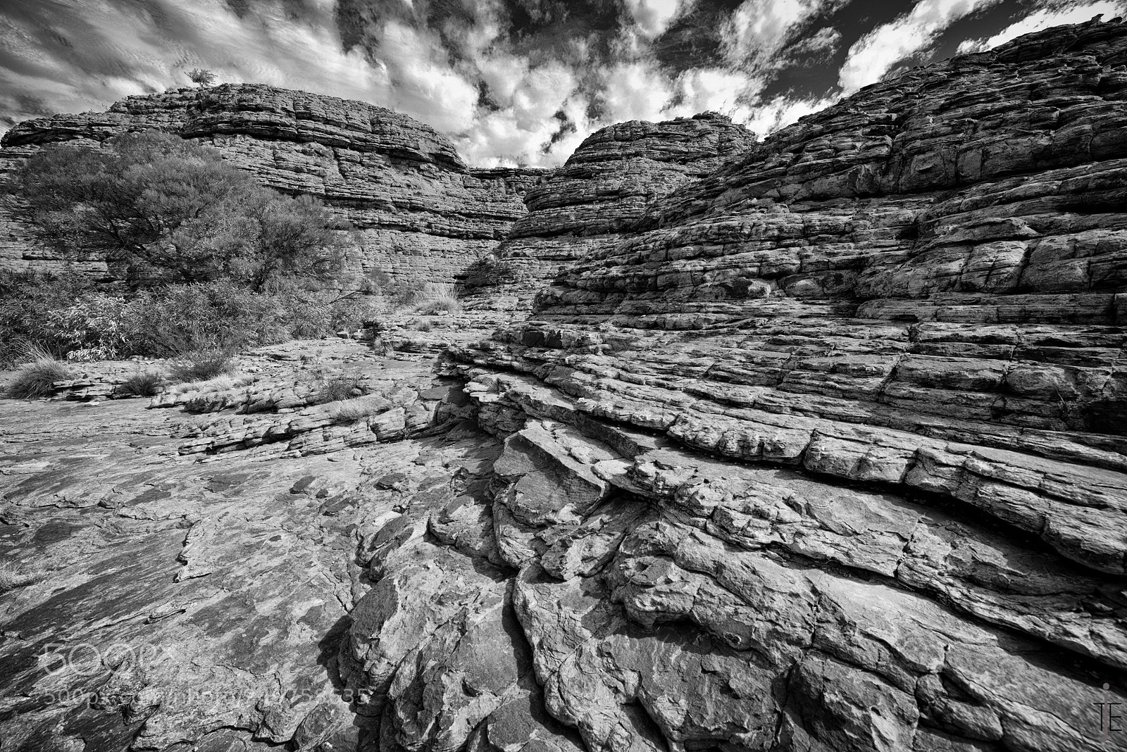 Nikon D810 sample photo. Australie nb photography