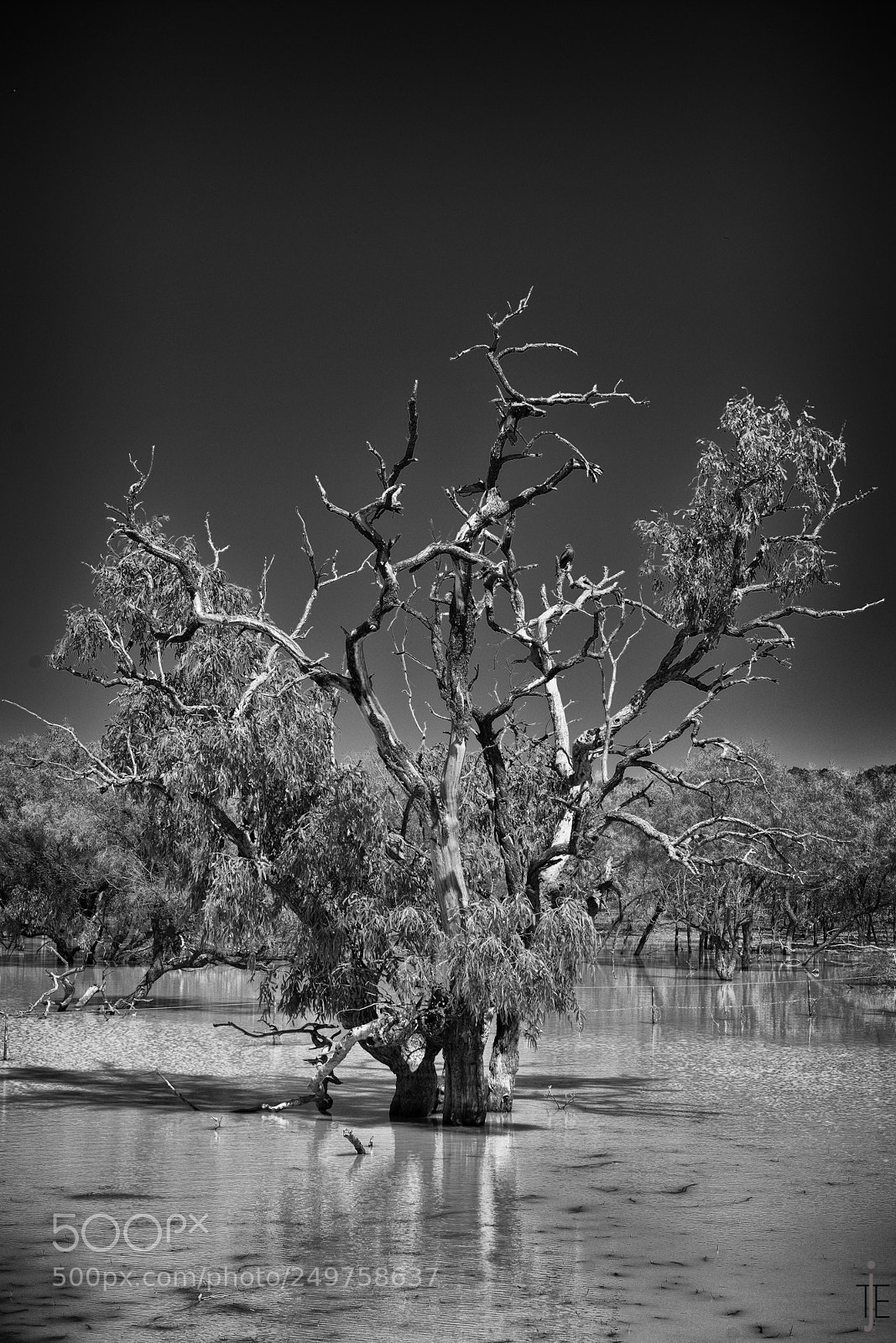Nikon D810 sample photo. Australie nb photography