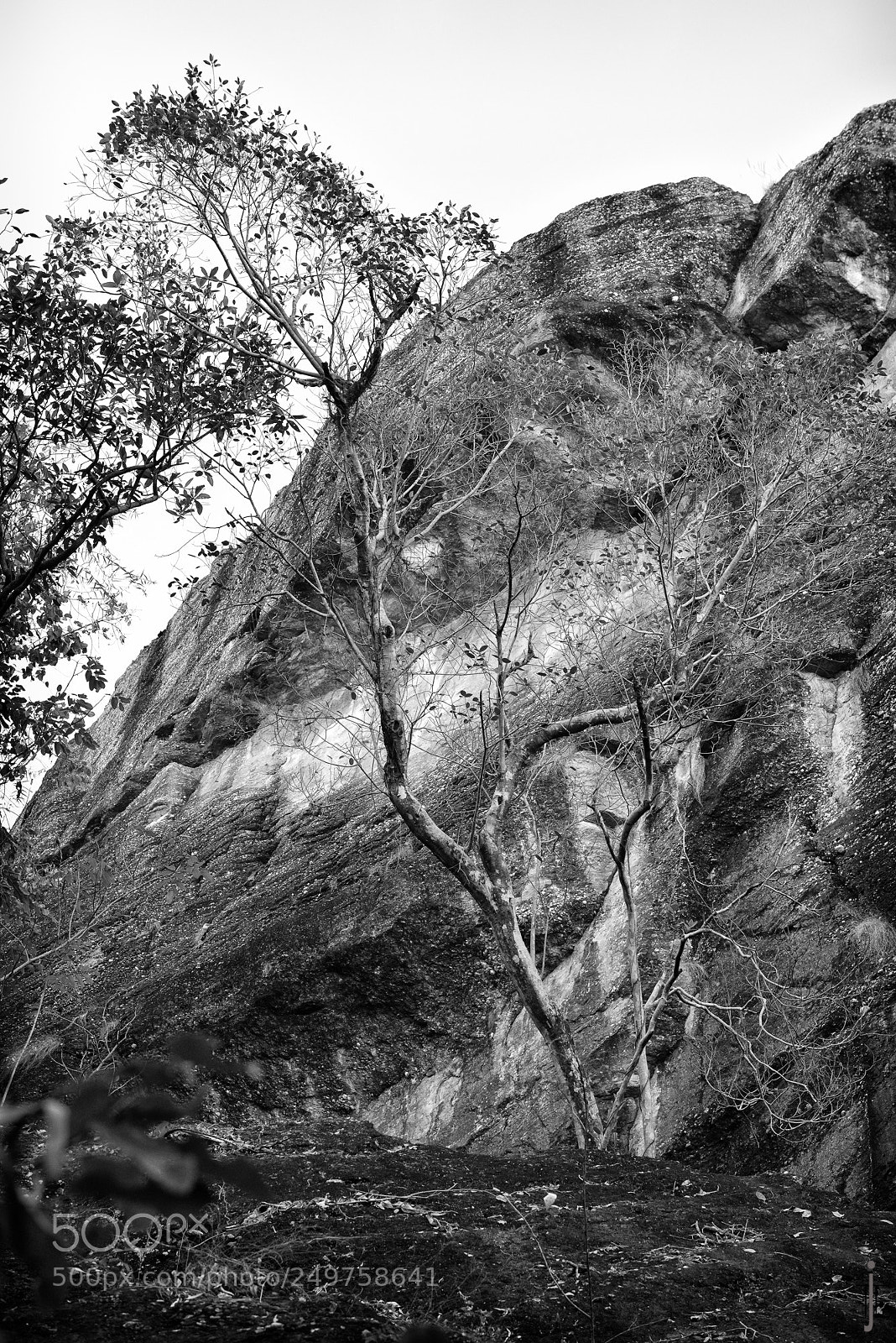 Nikon D810 sample photo. Australie nb photography