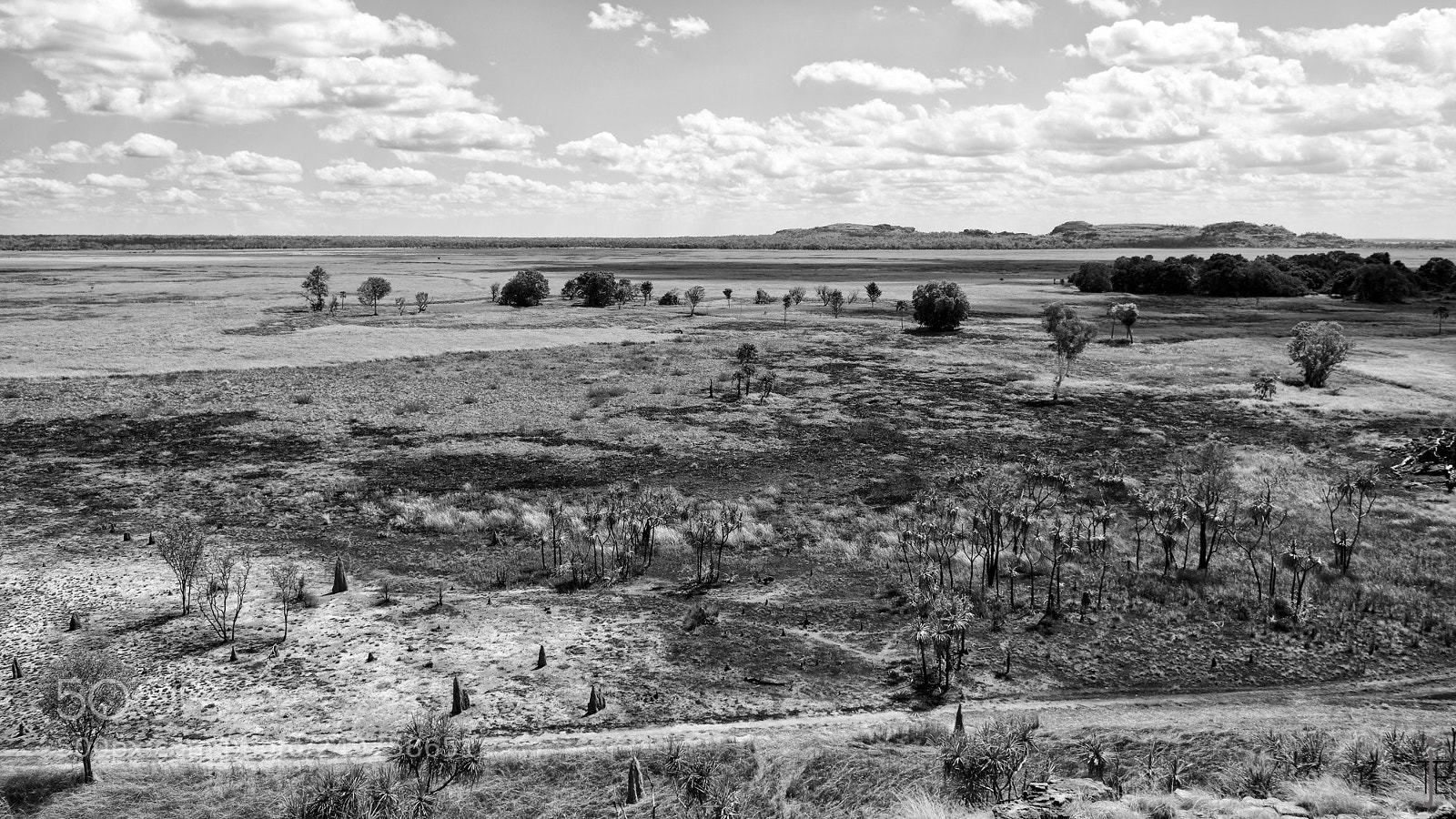 Nikon D810 sample photo. Australie nb photography