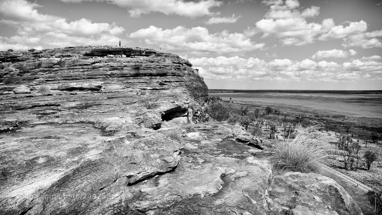 Nikon D810 sample photo. Australie nb photography