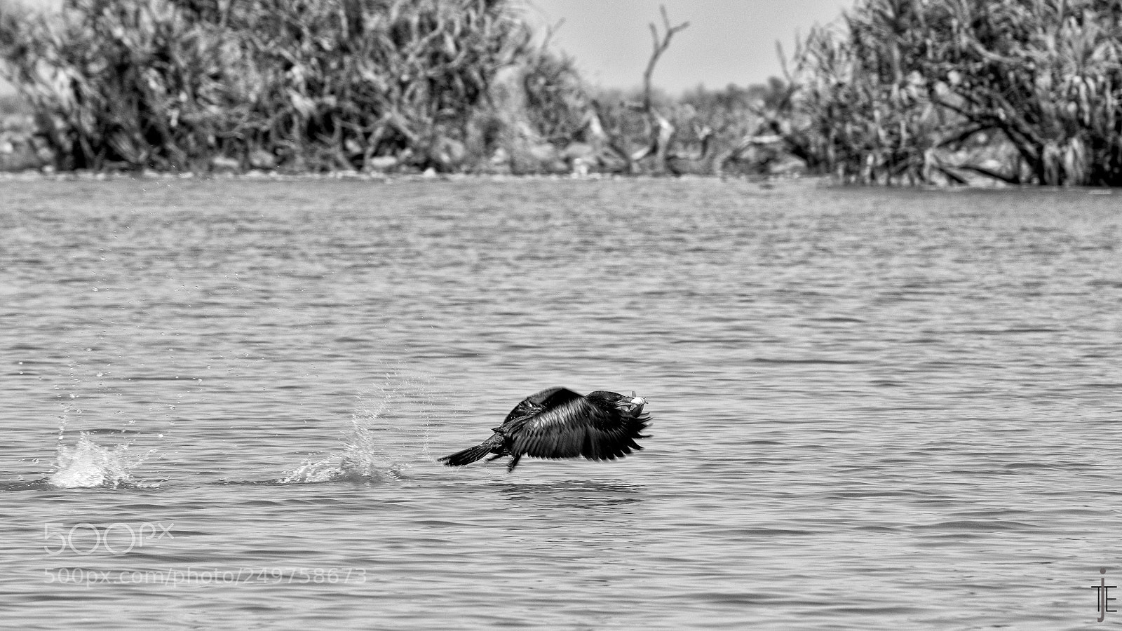 Nikon D810 sample photo. Australie nb photography