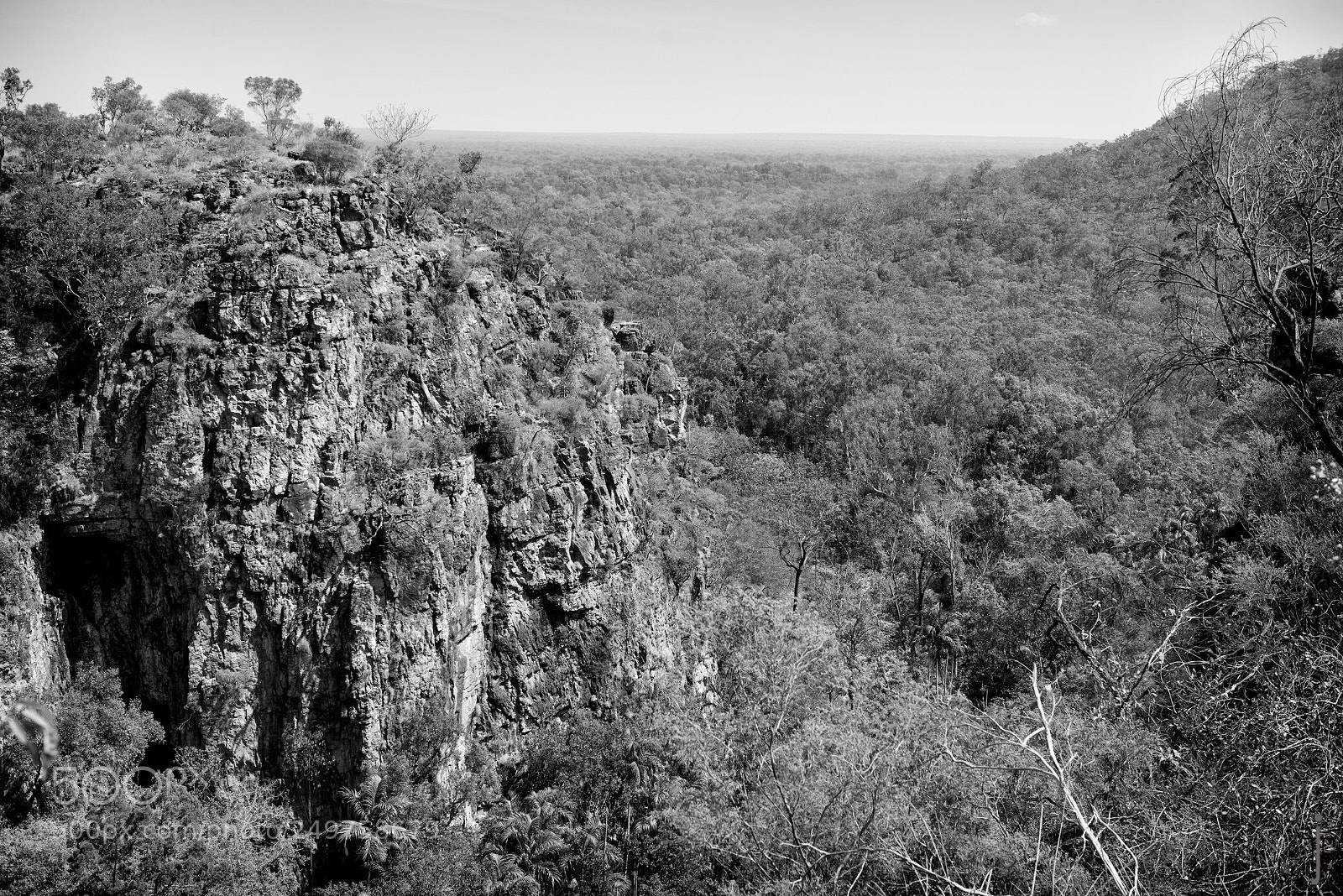 Nikon D810 sample photo. Australie nb photography