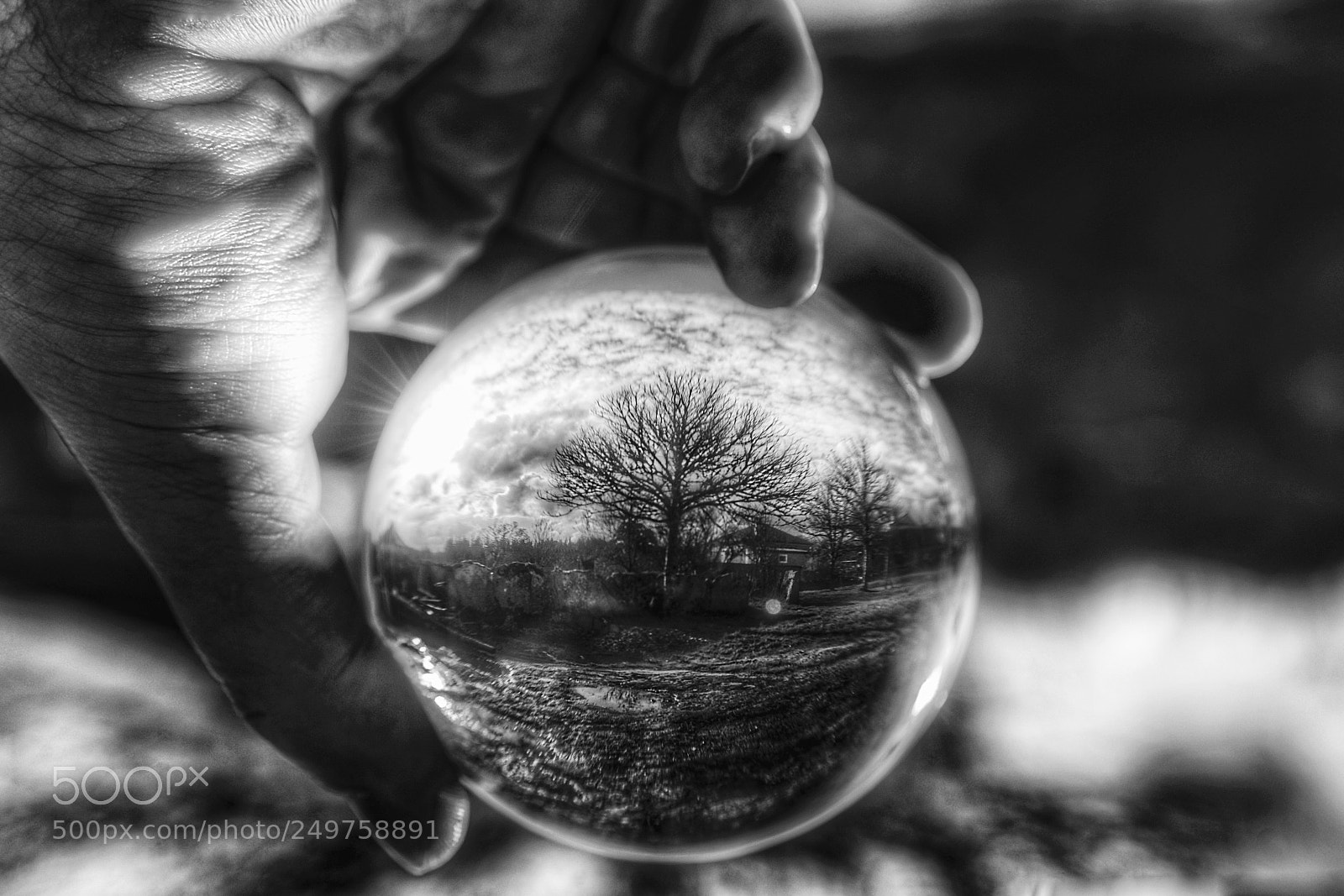 Nikon D610 sample photo. Untitled photography