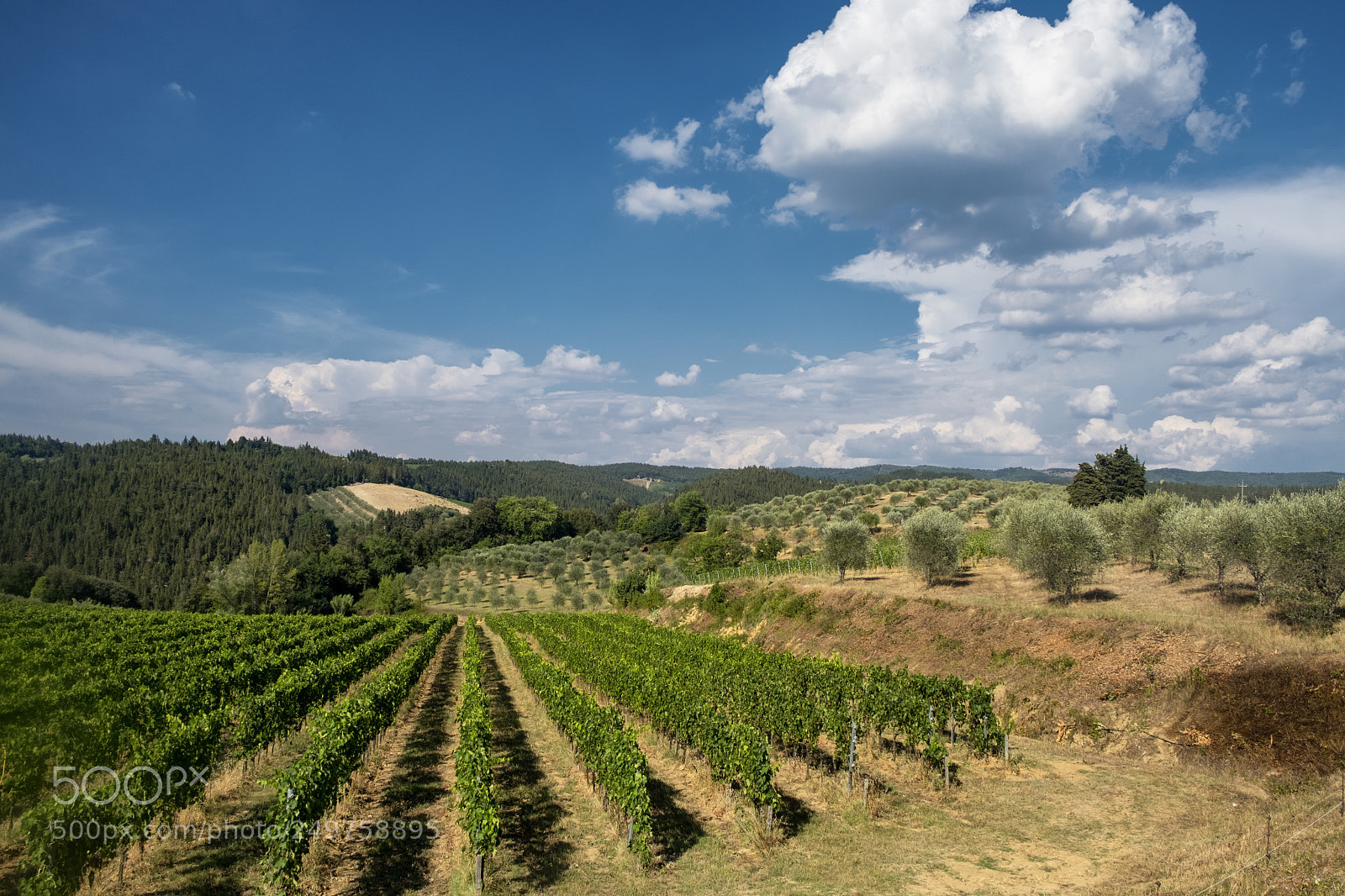 Fujifilm X-T2 sample photo. Summer landscape in the photography