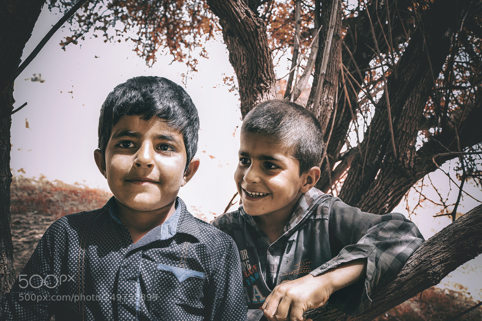 Canon EOS 750D (EOS Rebel T6i / EOS Kiss X8i) sample photo. The boys photography