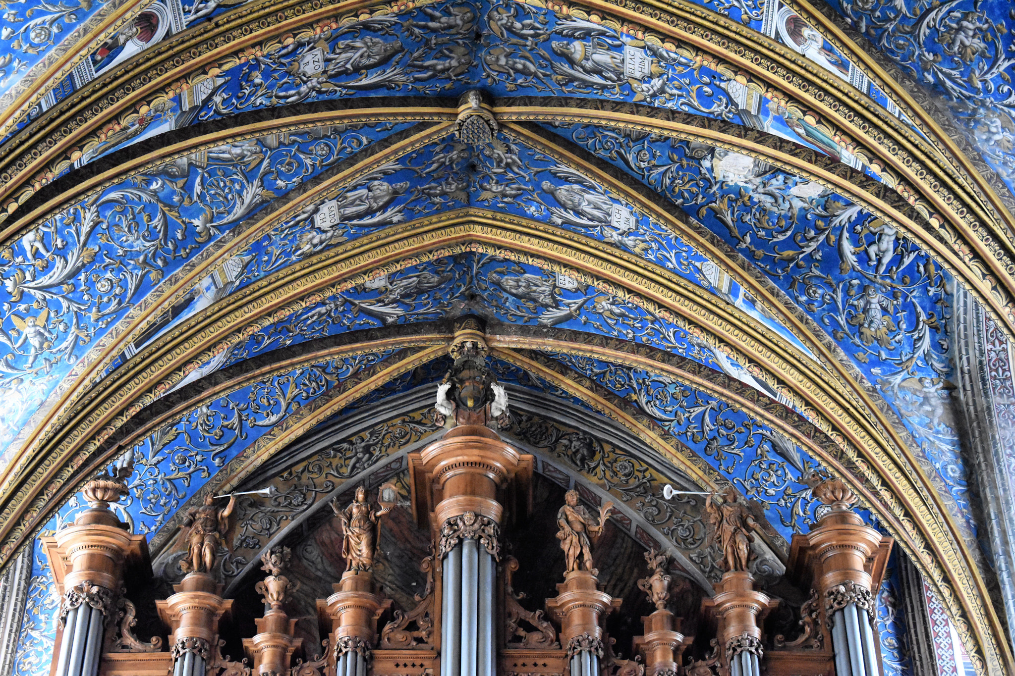 Nikon D5600 sample photo. Unesco cathedral in albi photography