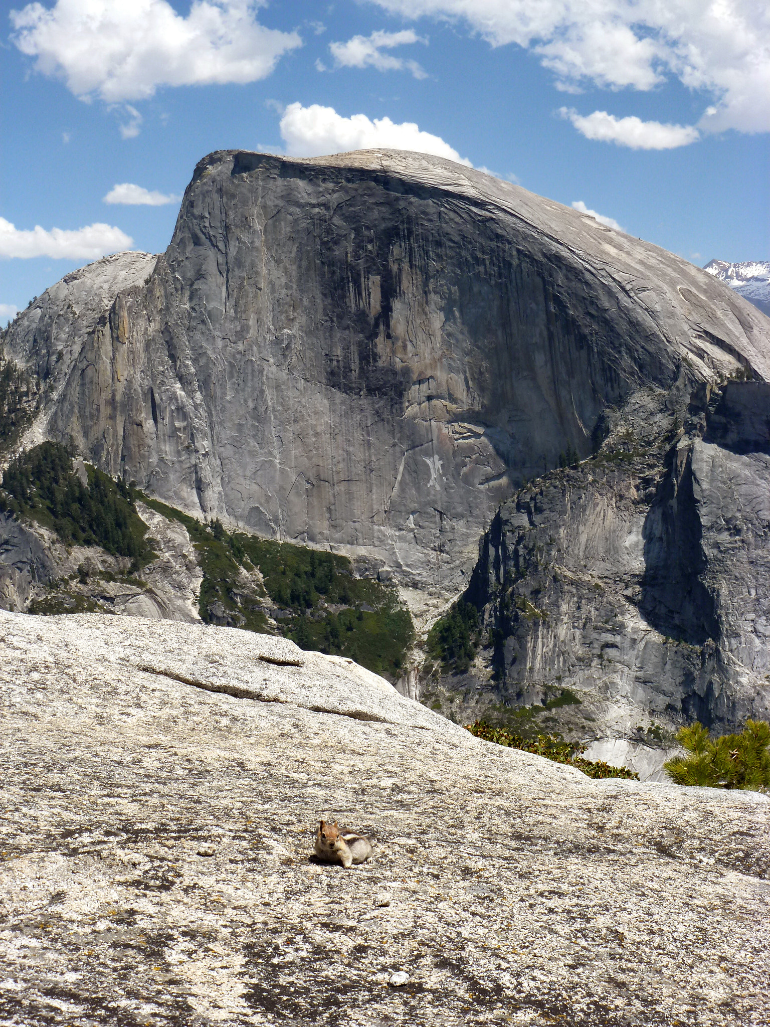 Panasonic Lumix DMC-ZS8 (Lumix DMC-TZ18) sample photo. Half dome photography