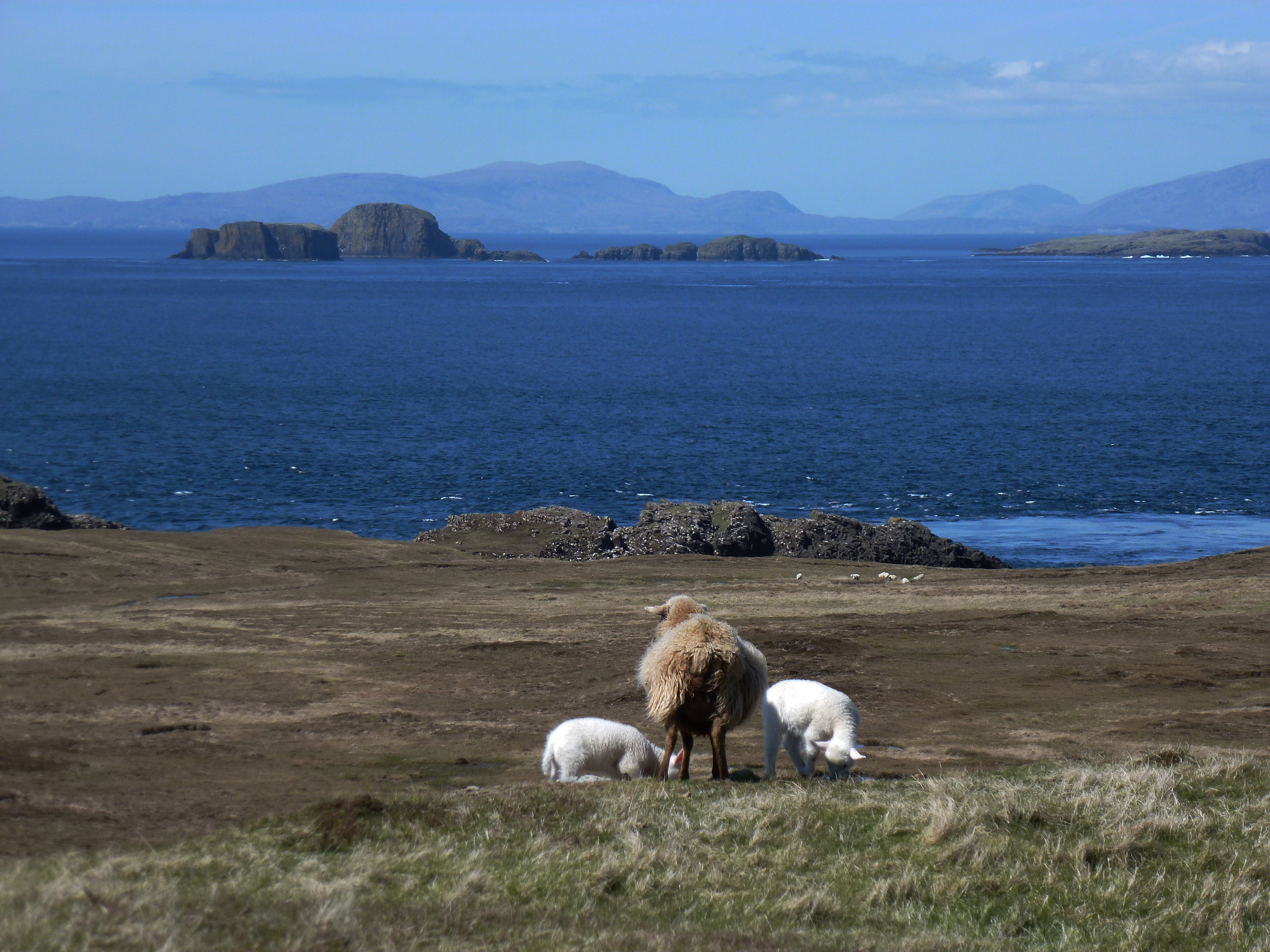 Panasonic Lumix DMC-ZS8 (Lumix DMC-TZ18) sample photo. Ile de skye photography