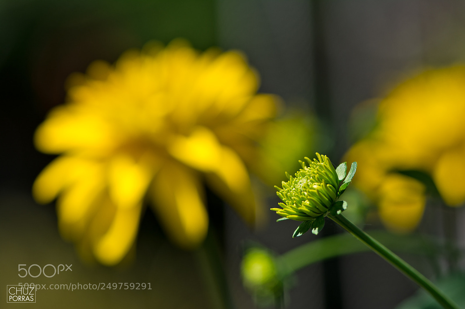 Nikon D7100 sample photo. Present and future 2 photography