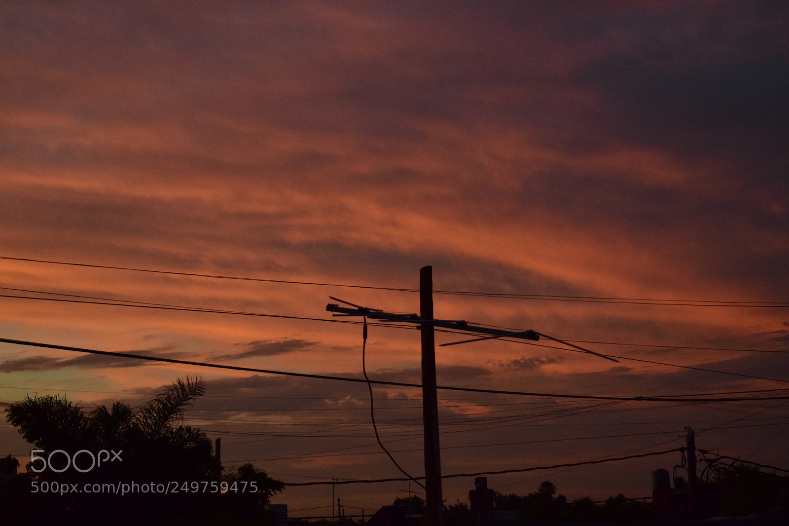 Nikon D5300 sample photo. Cross colours photography