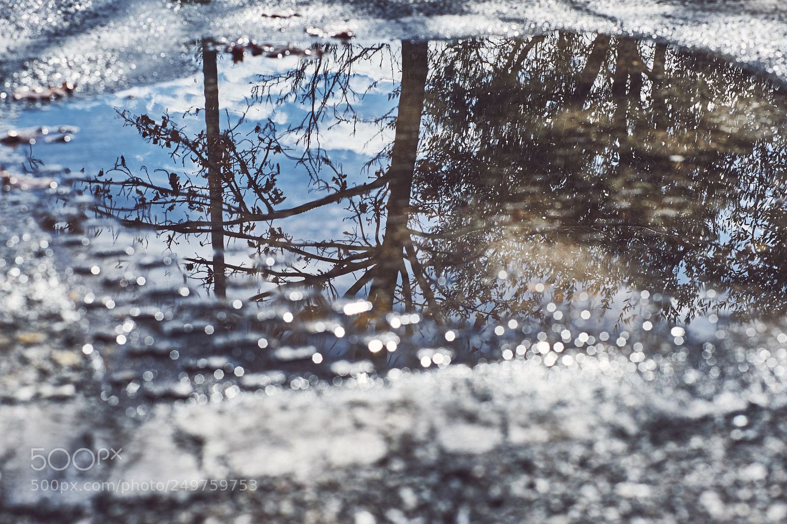 Fujifilm X-T2 sample photo. Untitled photography