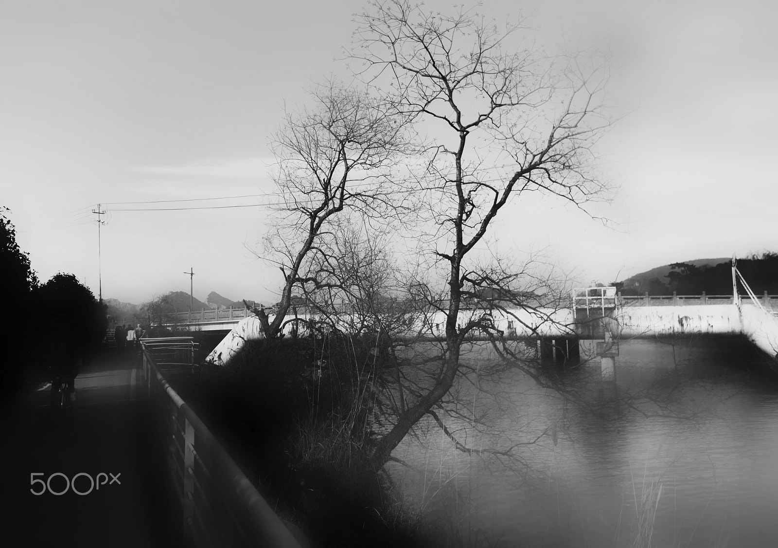 Nikon 1 V3 sample photo. C photography