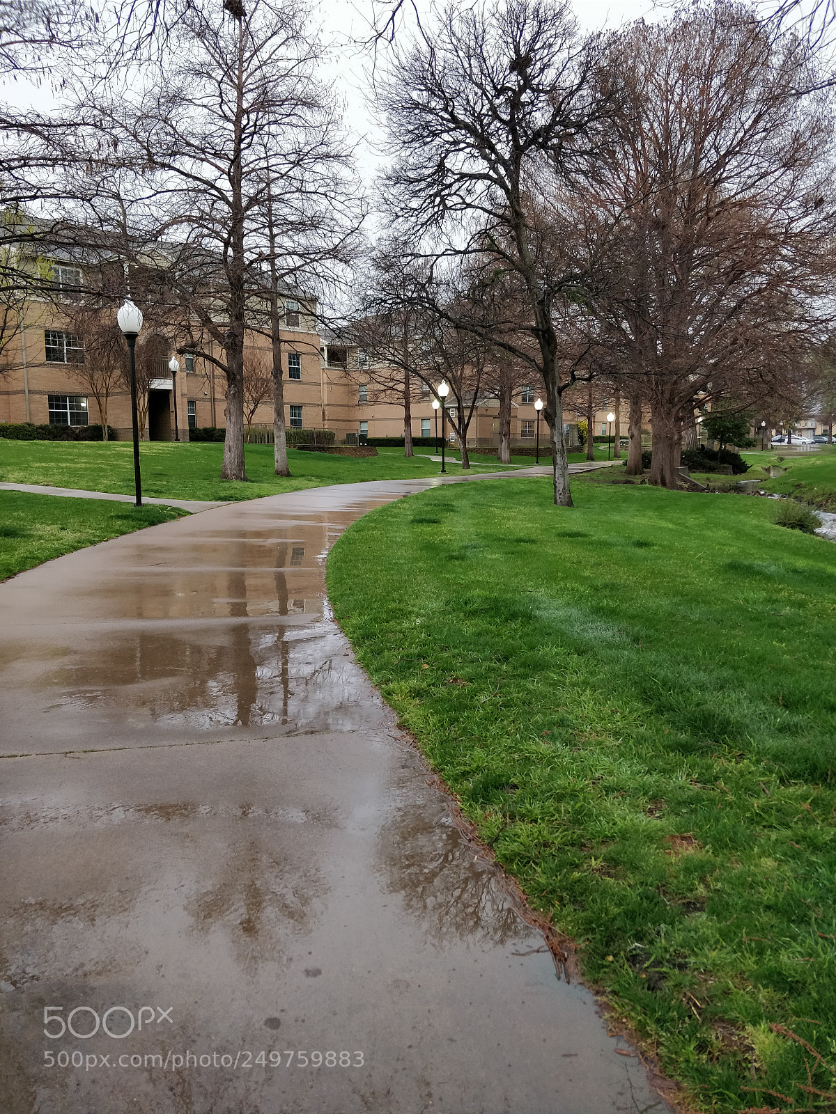 OnePlus 5 sample photo. Walkaway photography