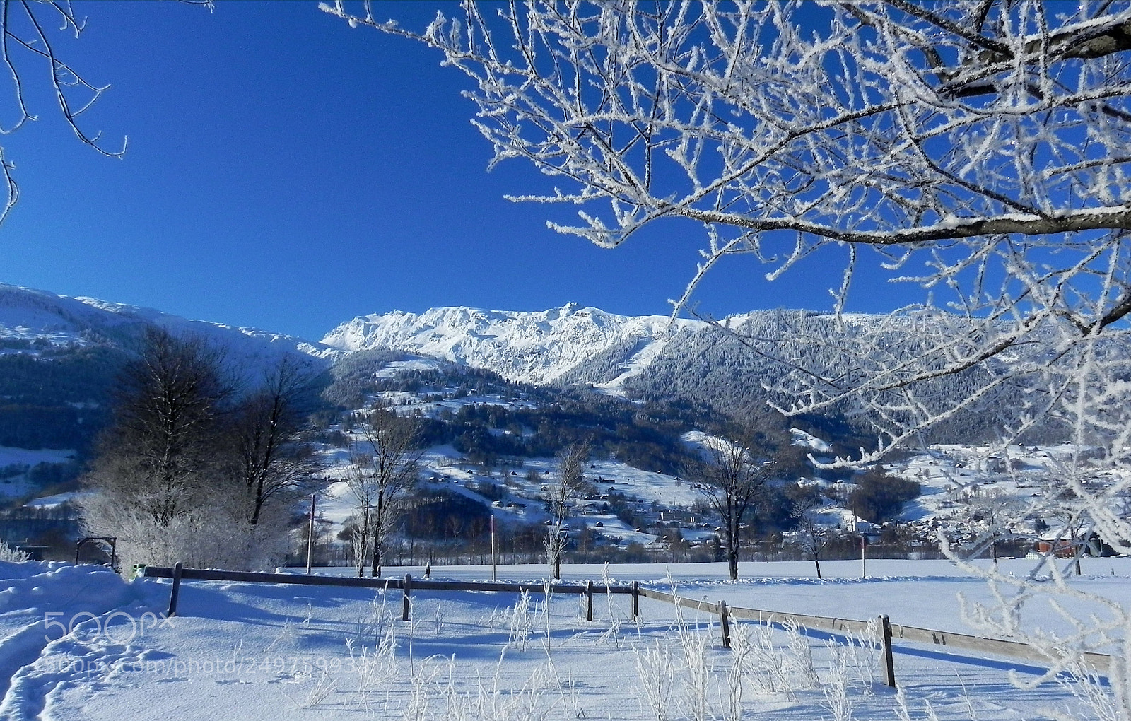 Nikon Coolpix P100 sample photo. Wintertime photography