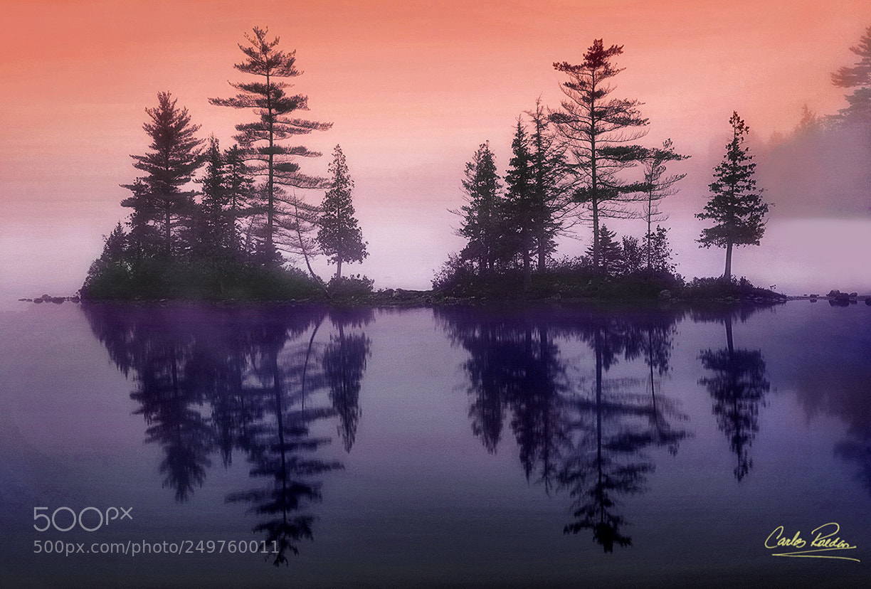 Sony ILCA-77M2 sample photo. Sunrise in ricker pond photography