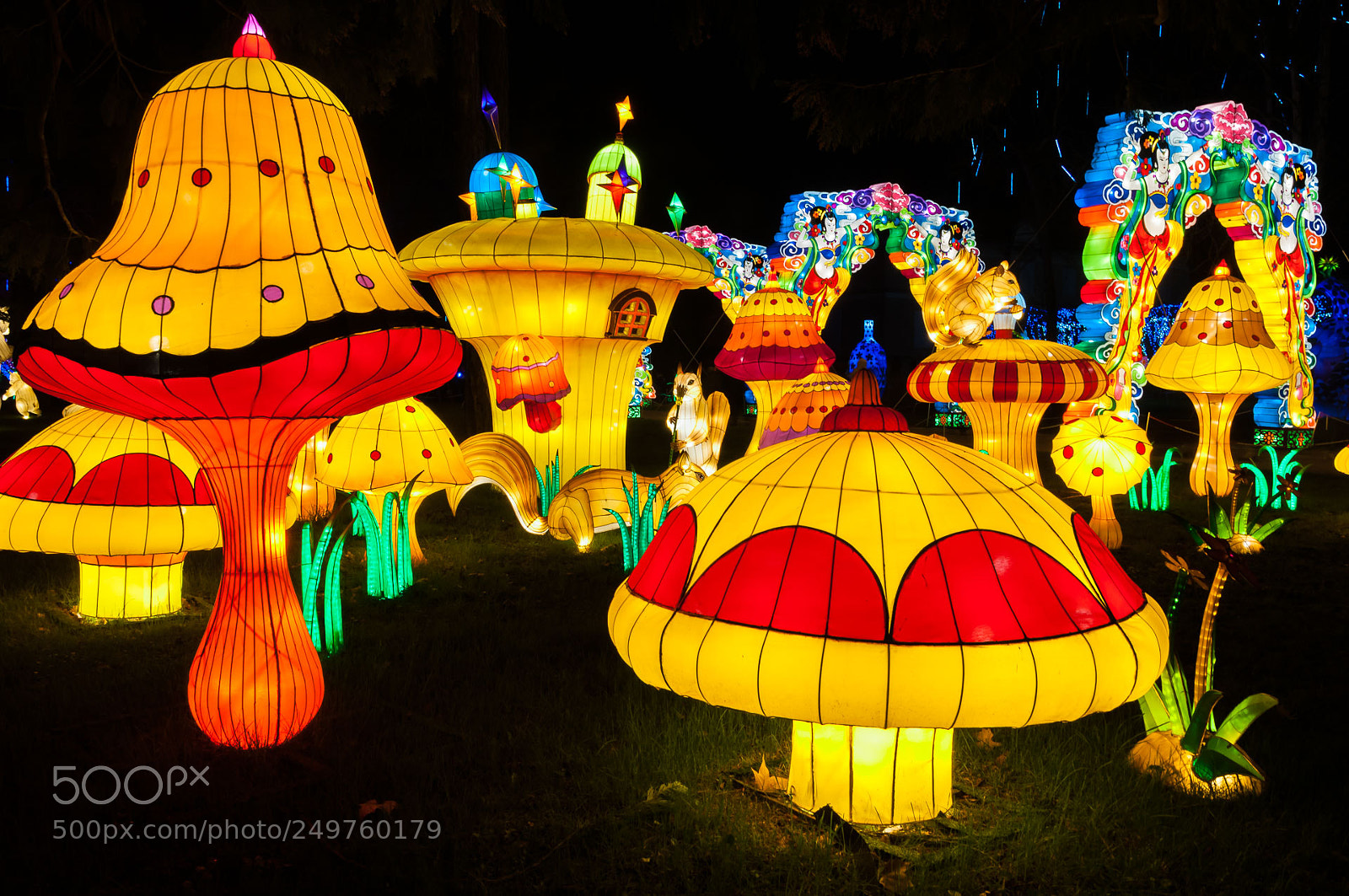Nikon D300S sample photo. Colorful 3 photography