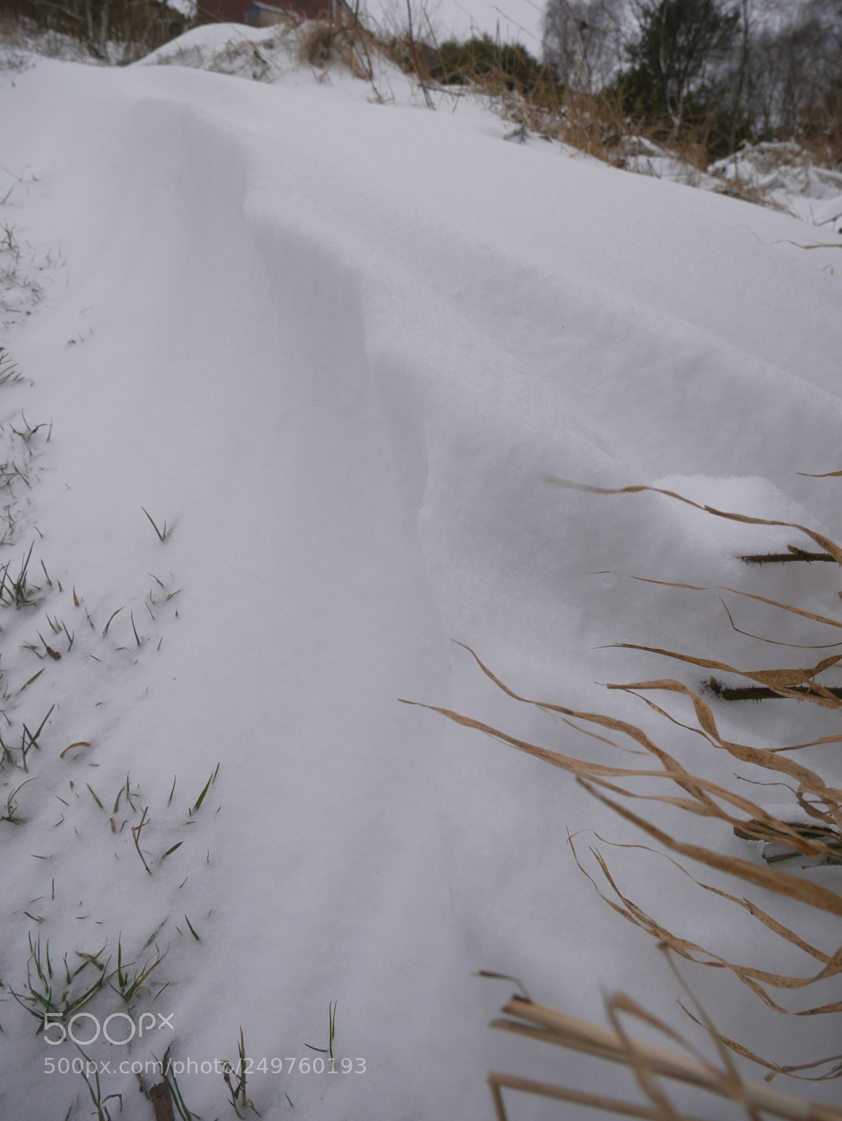 Panasonic Lumix DMC-G85 (Lumix DMC-G80) sample photo. The shape of wind photography