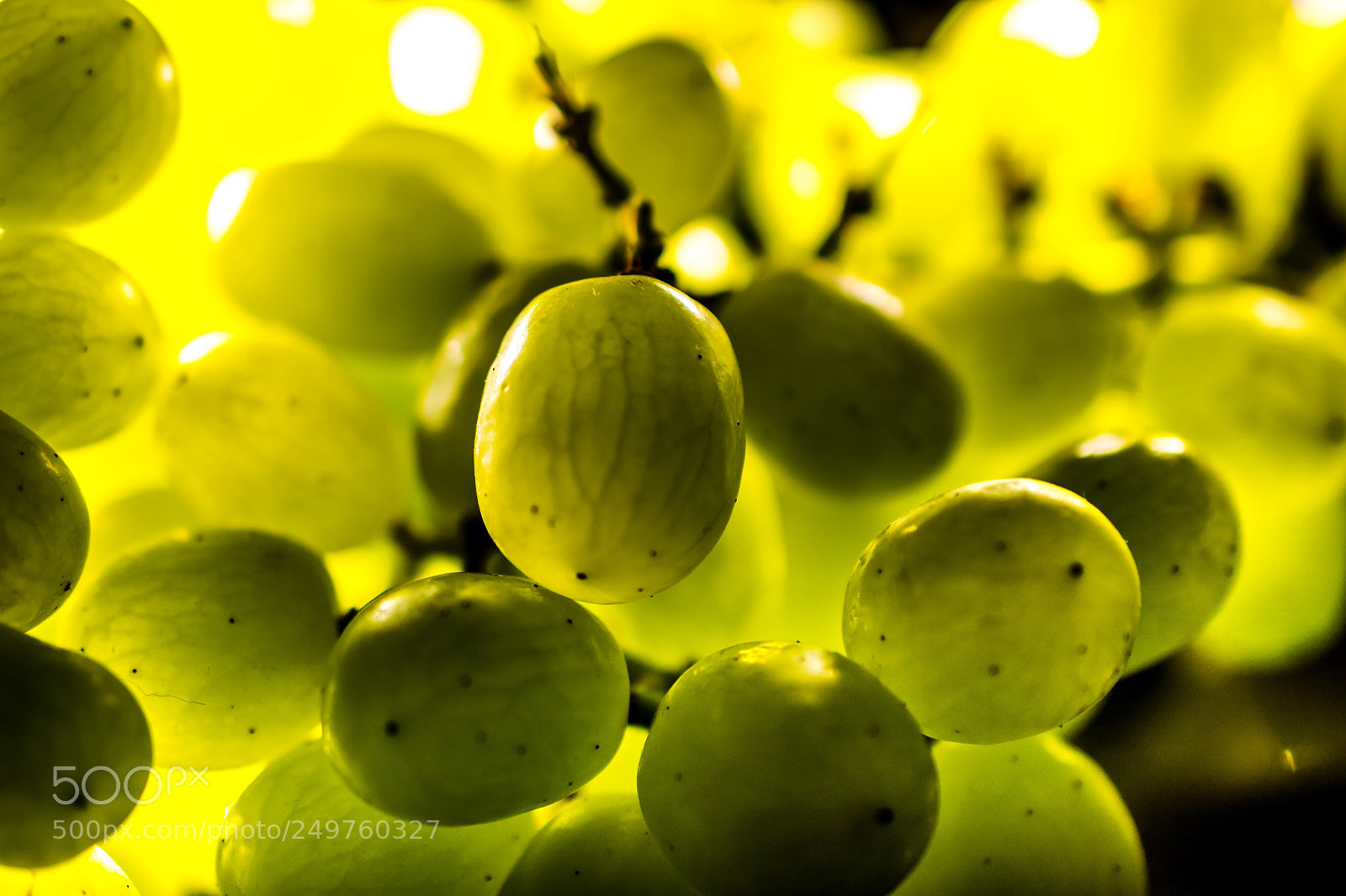Nikon D7200 sample photo. Green grapes photography