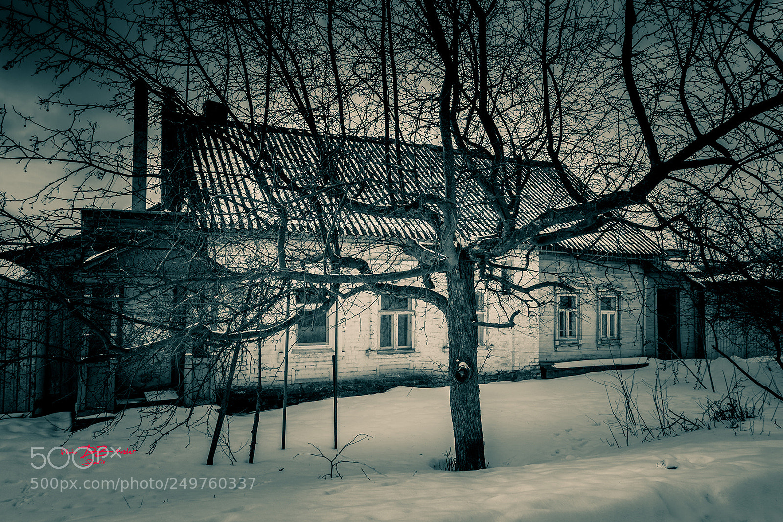 Canon EOS 50D sample photo. Small house with apple photography