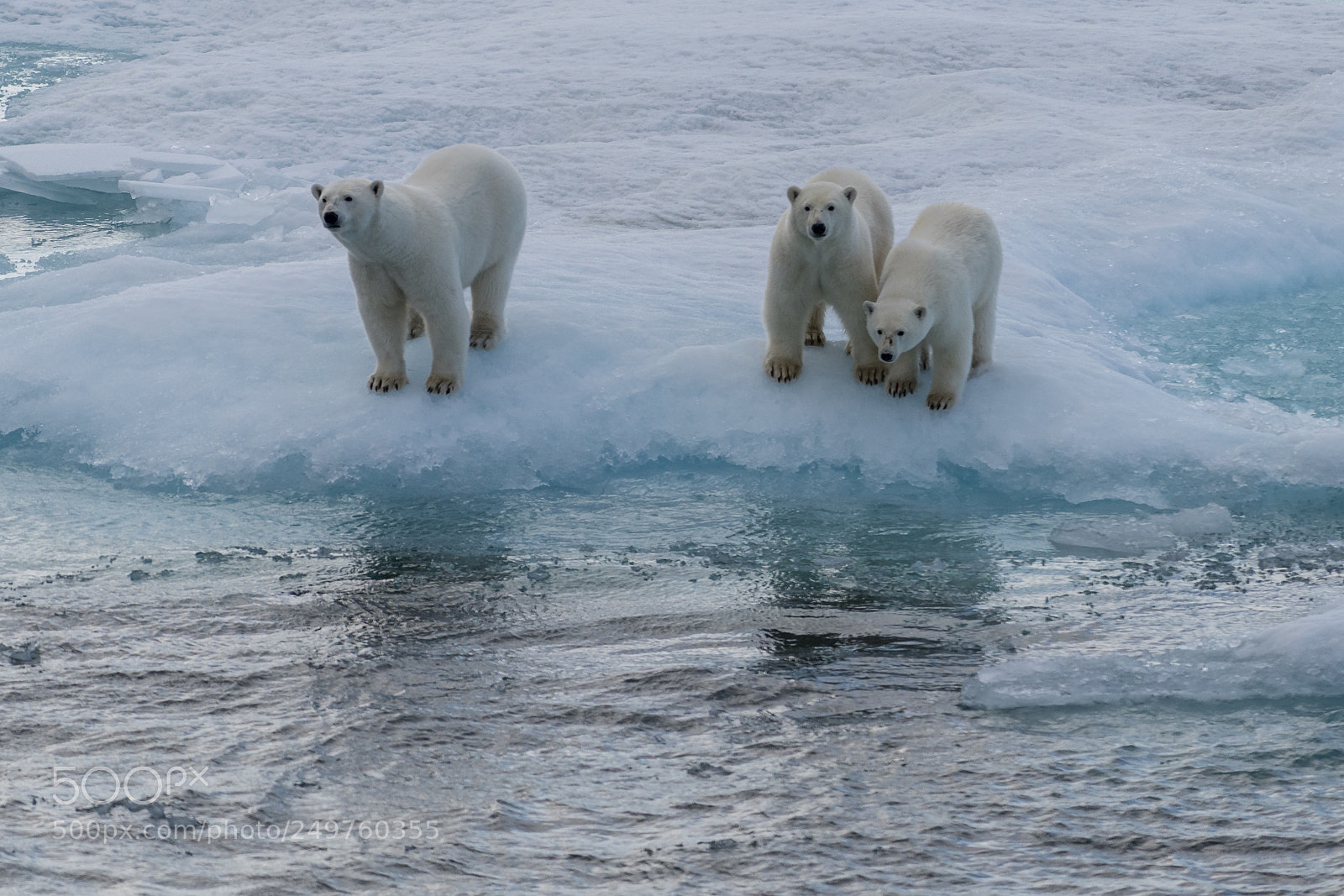 Sony a7R II sample photo. Ellesmere island photography