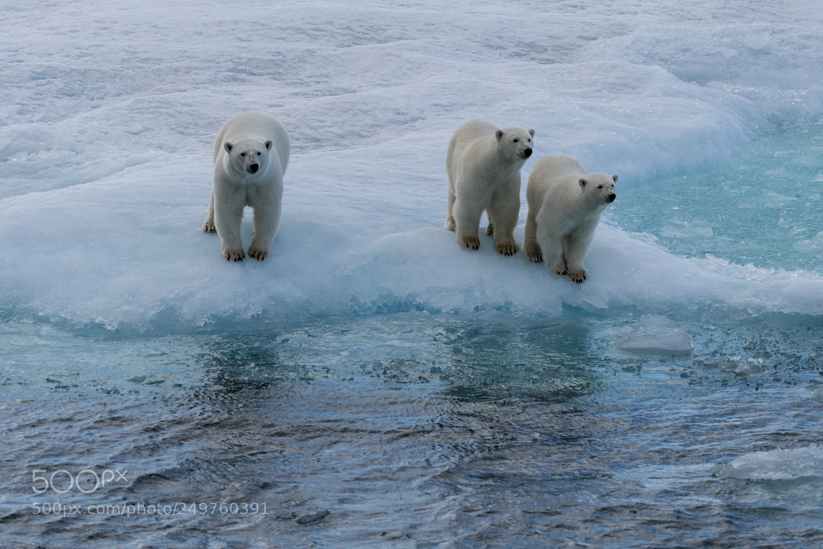 Sony a7R II sample photo. Ellesmere island photography