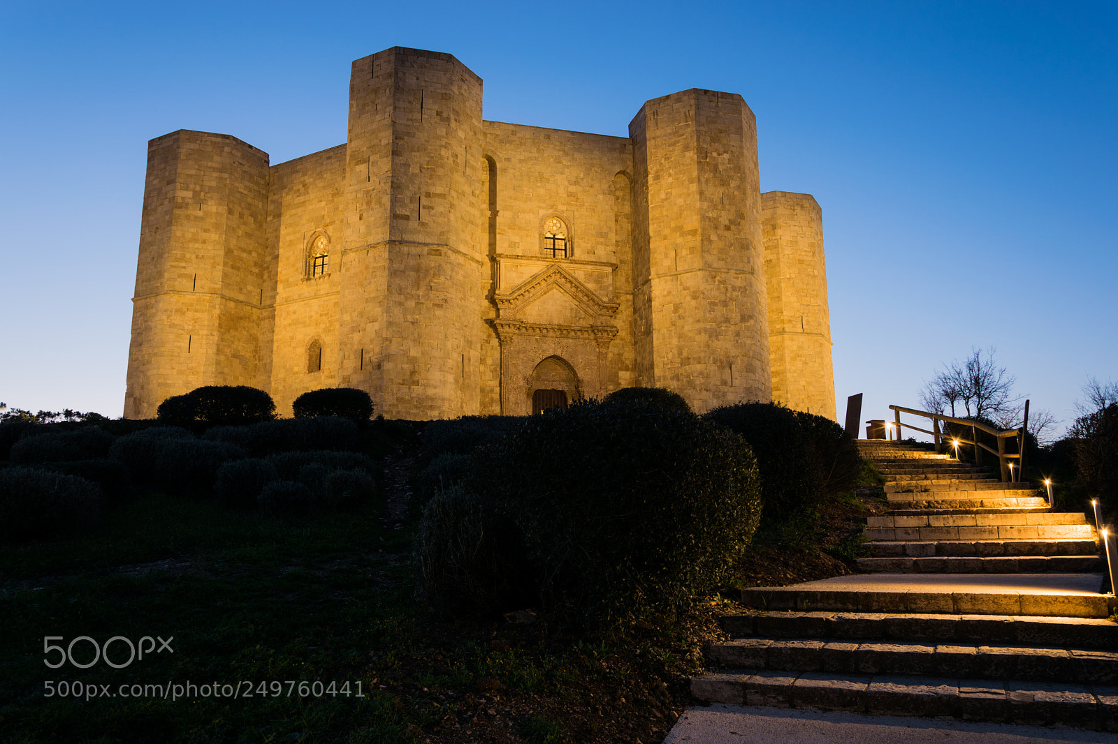 Nikon D5300 sample photo. Castel del monte photography