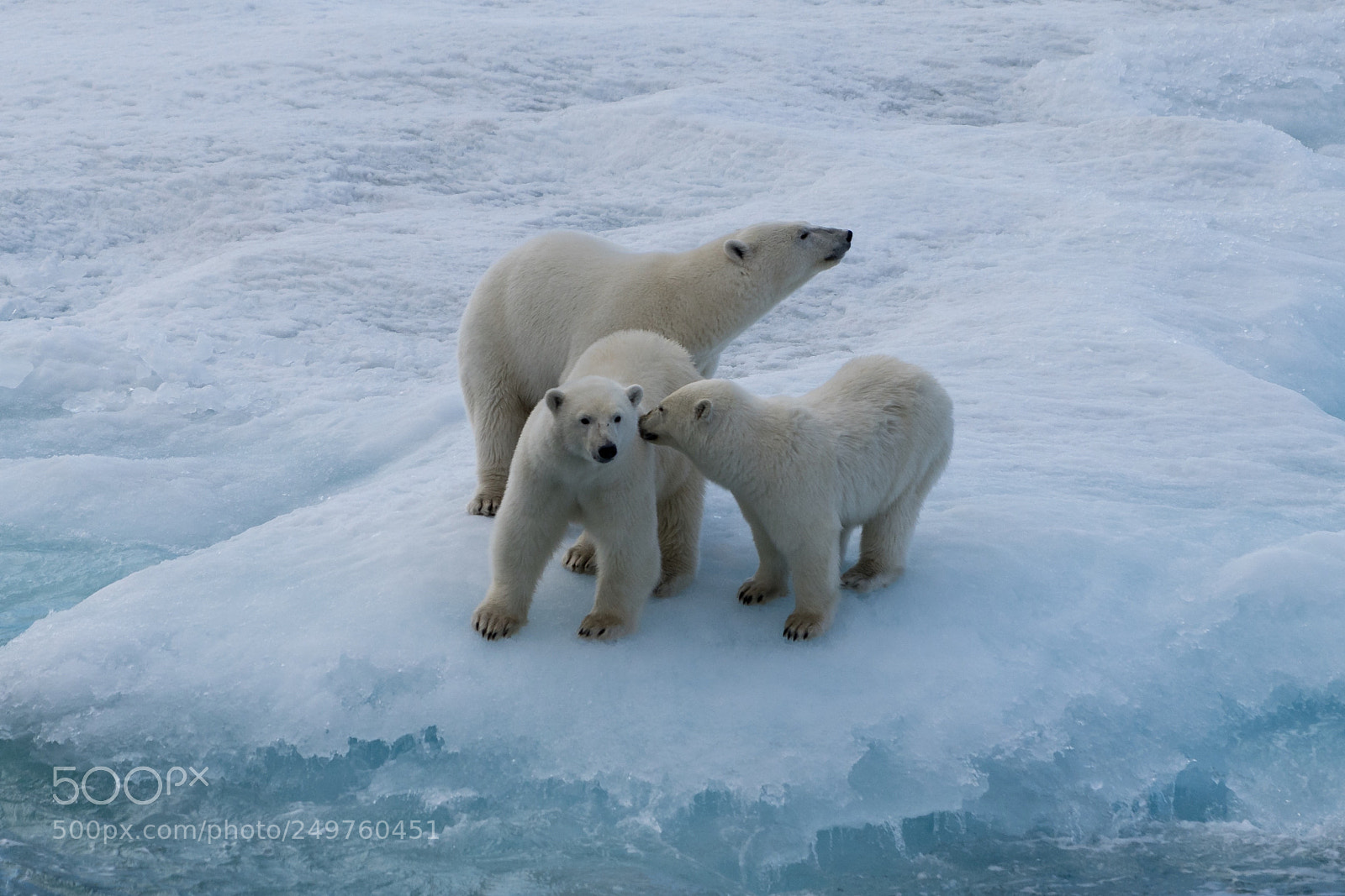 Sony a7R II sample photo. Ellesmere island photography
