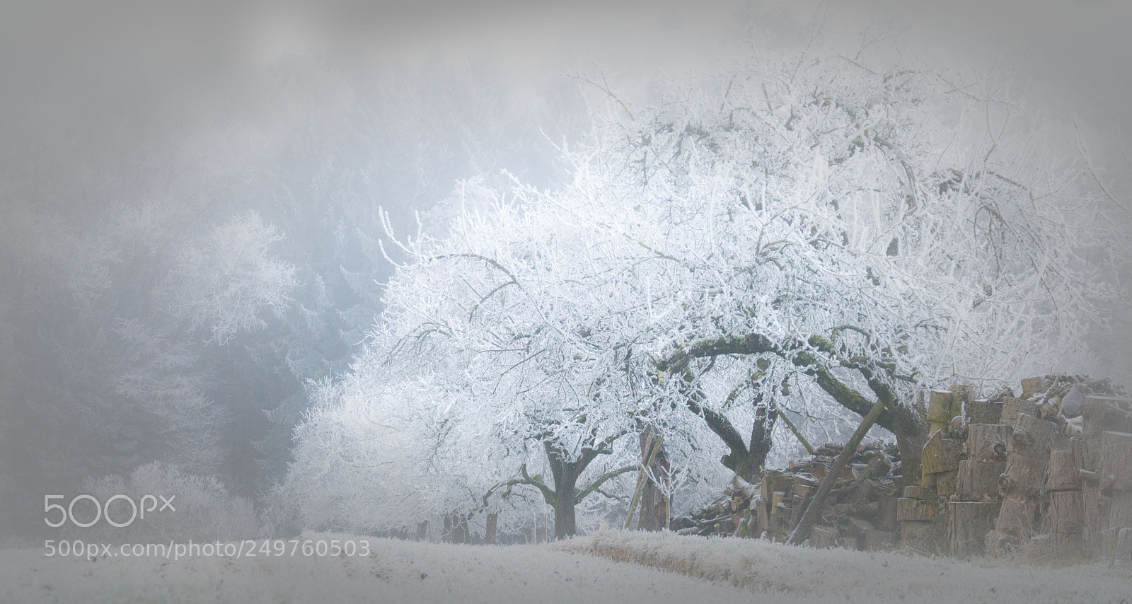 Nikon D300 sample photo. Winterbilder ix photography