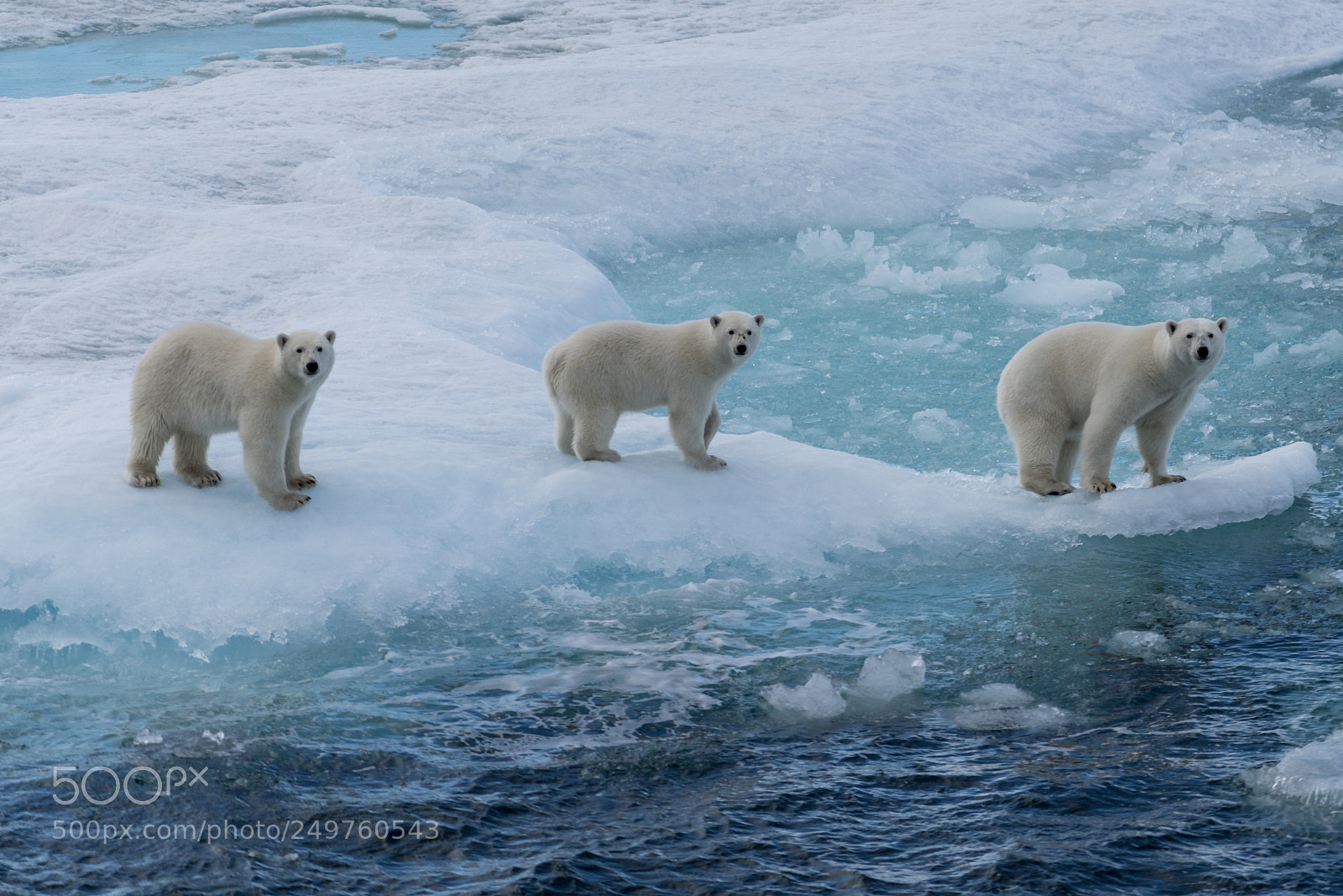 Sony a7R II sample photo. Ellesmere island photography