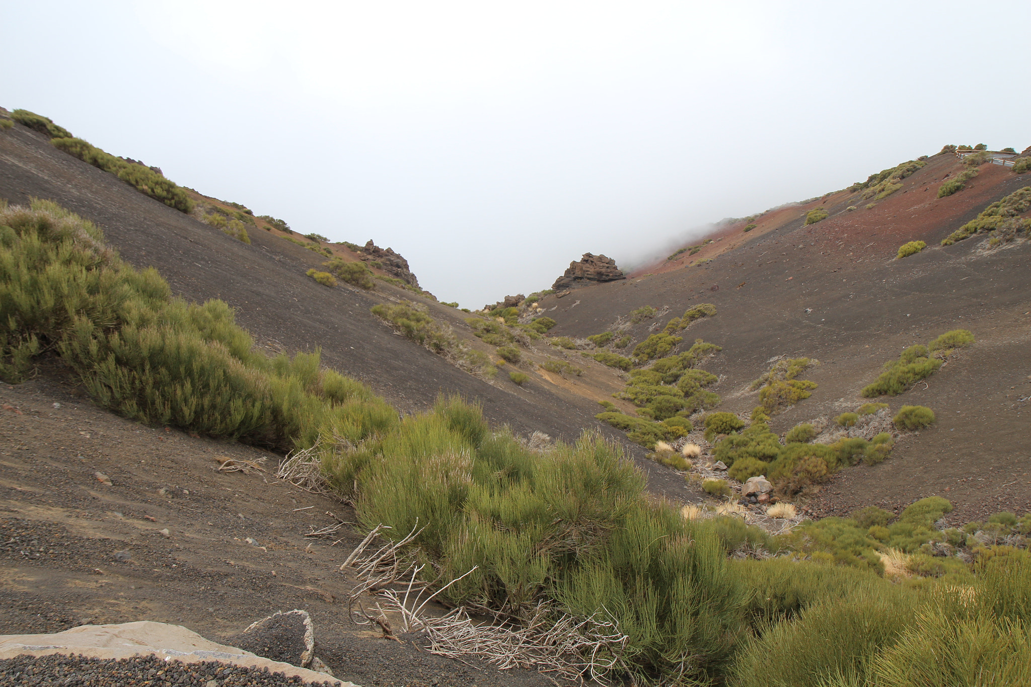 Canon EF-S 17-55mm F2.8 IS USM sample photo. Teneriffa, spain photography