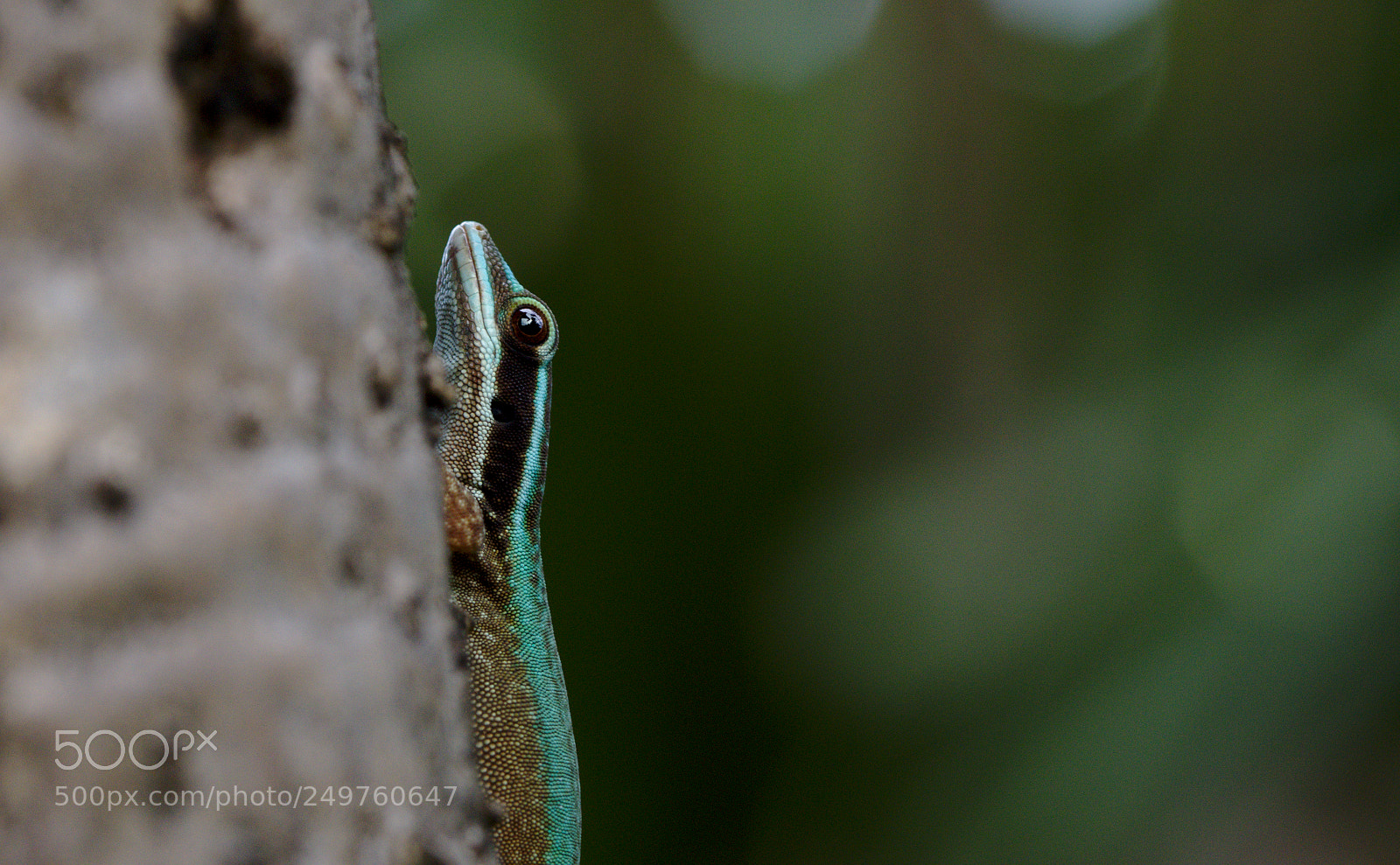 Nikon D500 sample photo. Looking for the top photography