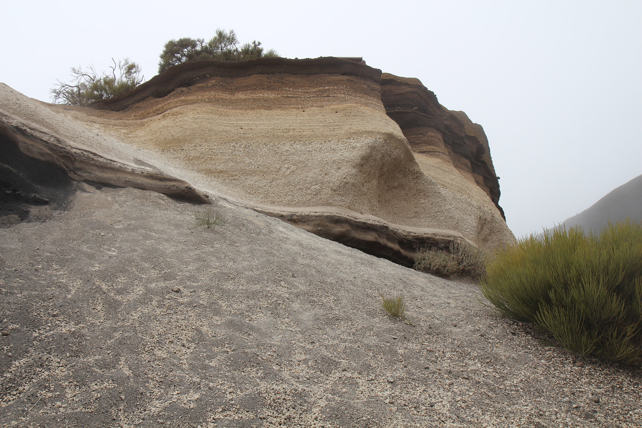 Canon EF-S 17-55mm F2.8 IS USM sample photo. Teneriffa, spain photography