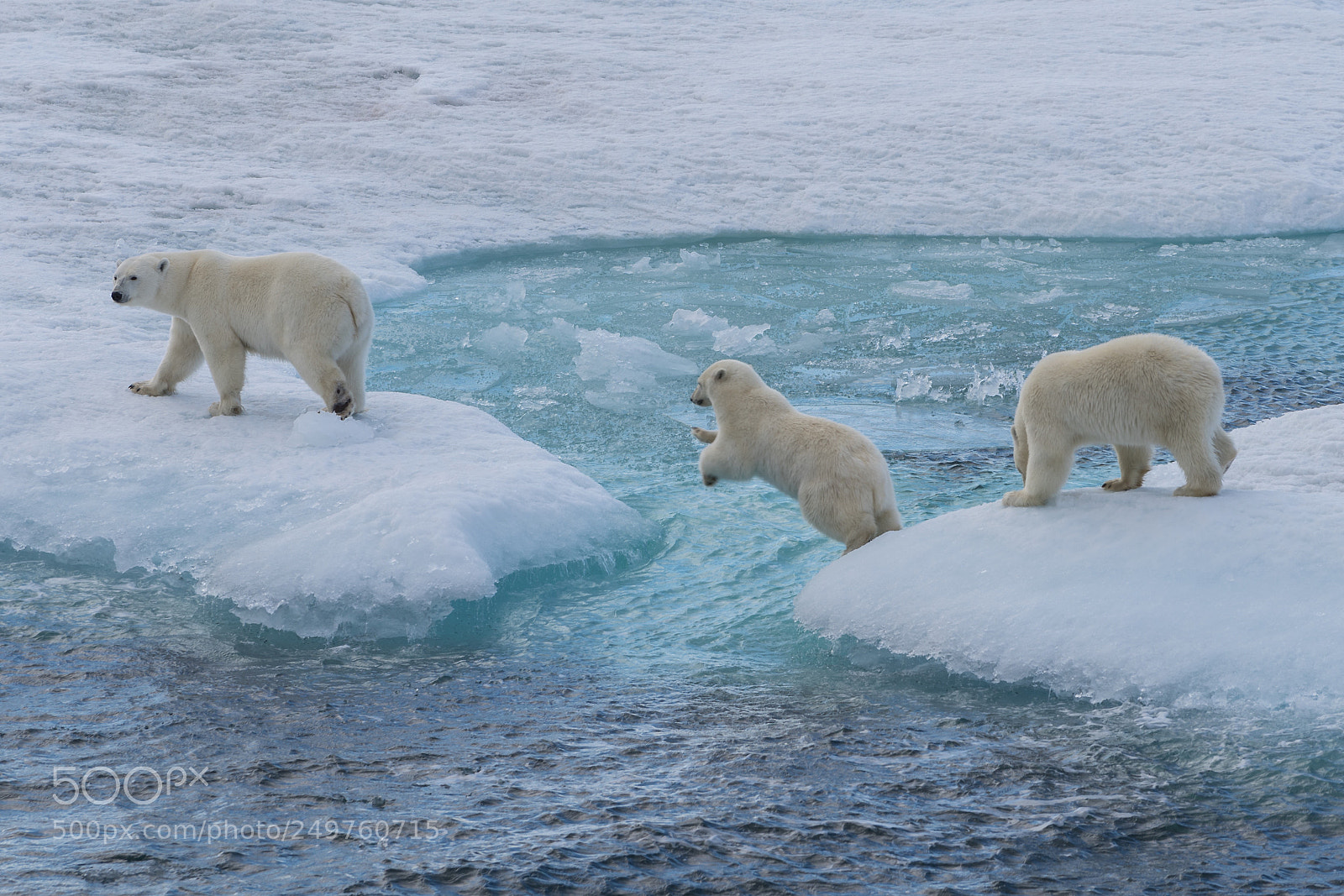 Sony a7R II sample photo. Ellesmere island photography